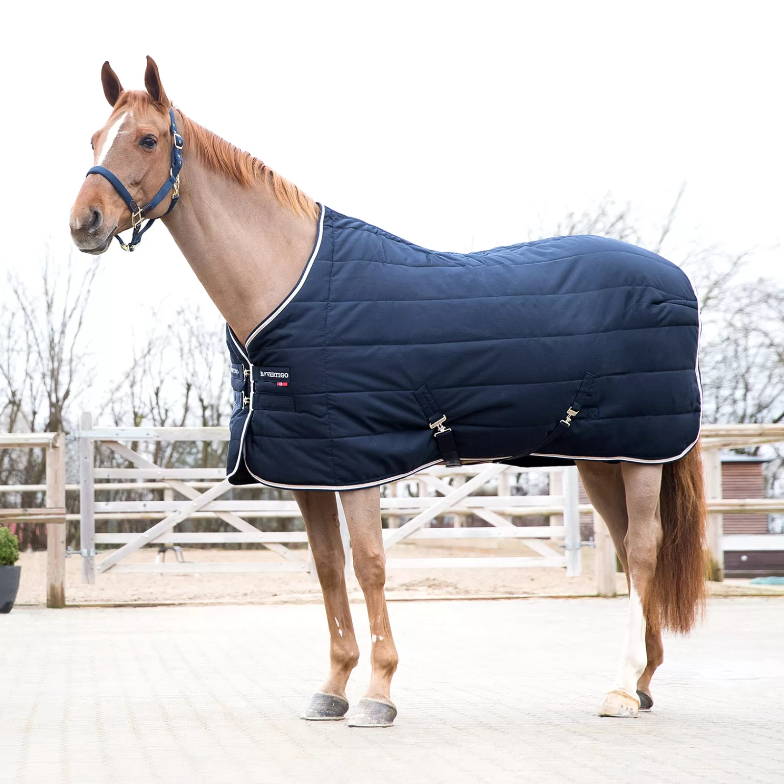 bvertigo B Vertigo Corey Stable Rug, 250G> Stable Rugs & Liners