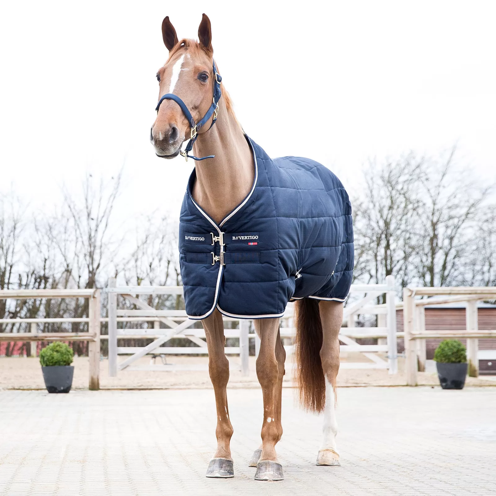 bvertigo B Vertigo Corey Stable Rug, 250G> Stable Rugs & Liners