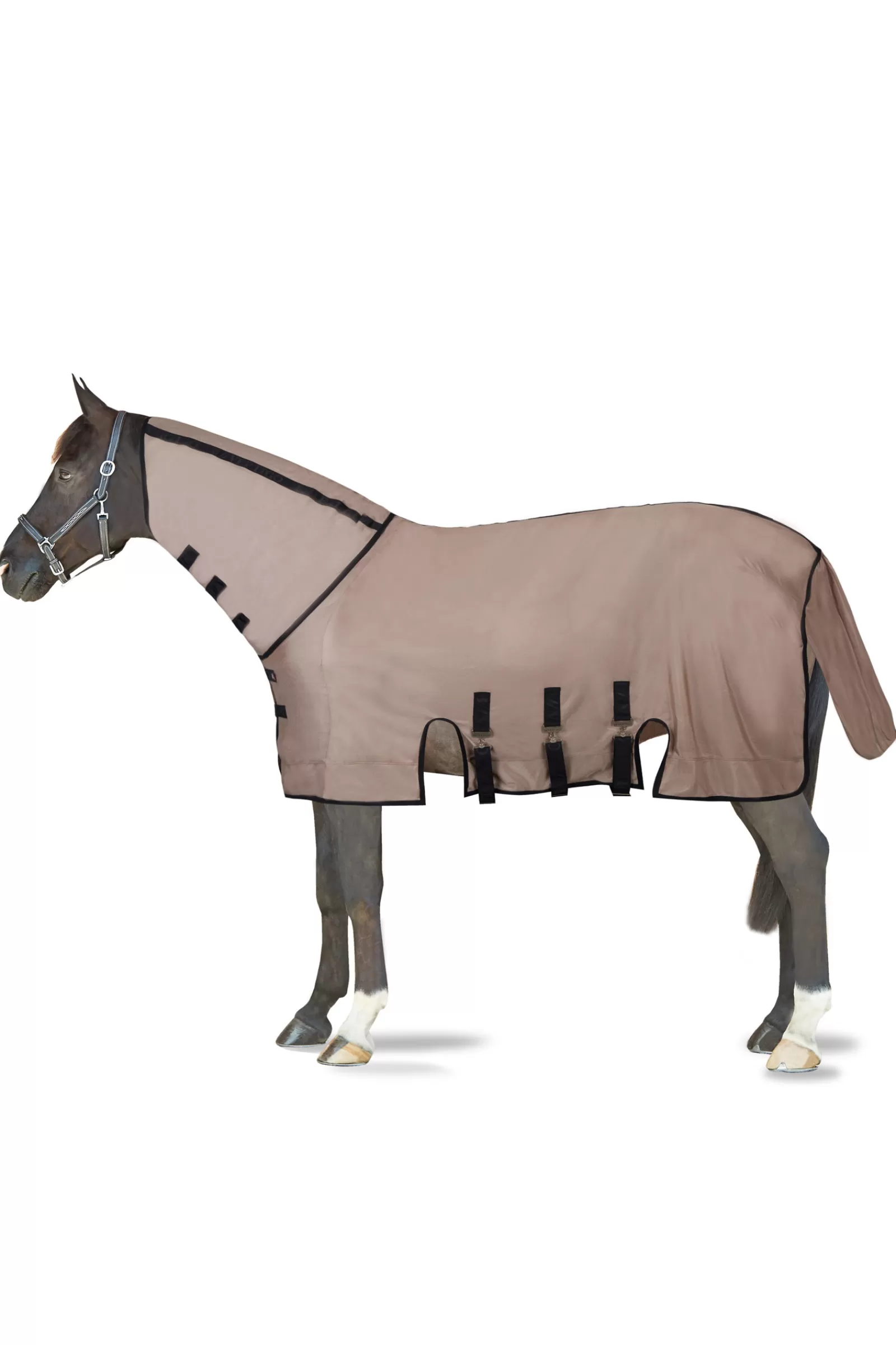 bvertigo B Vertigo Delux Fly Rug With Detachable Neck And Uv Protection> Fly Rugs