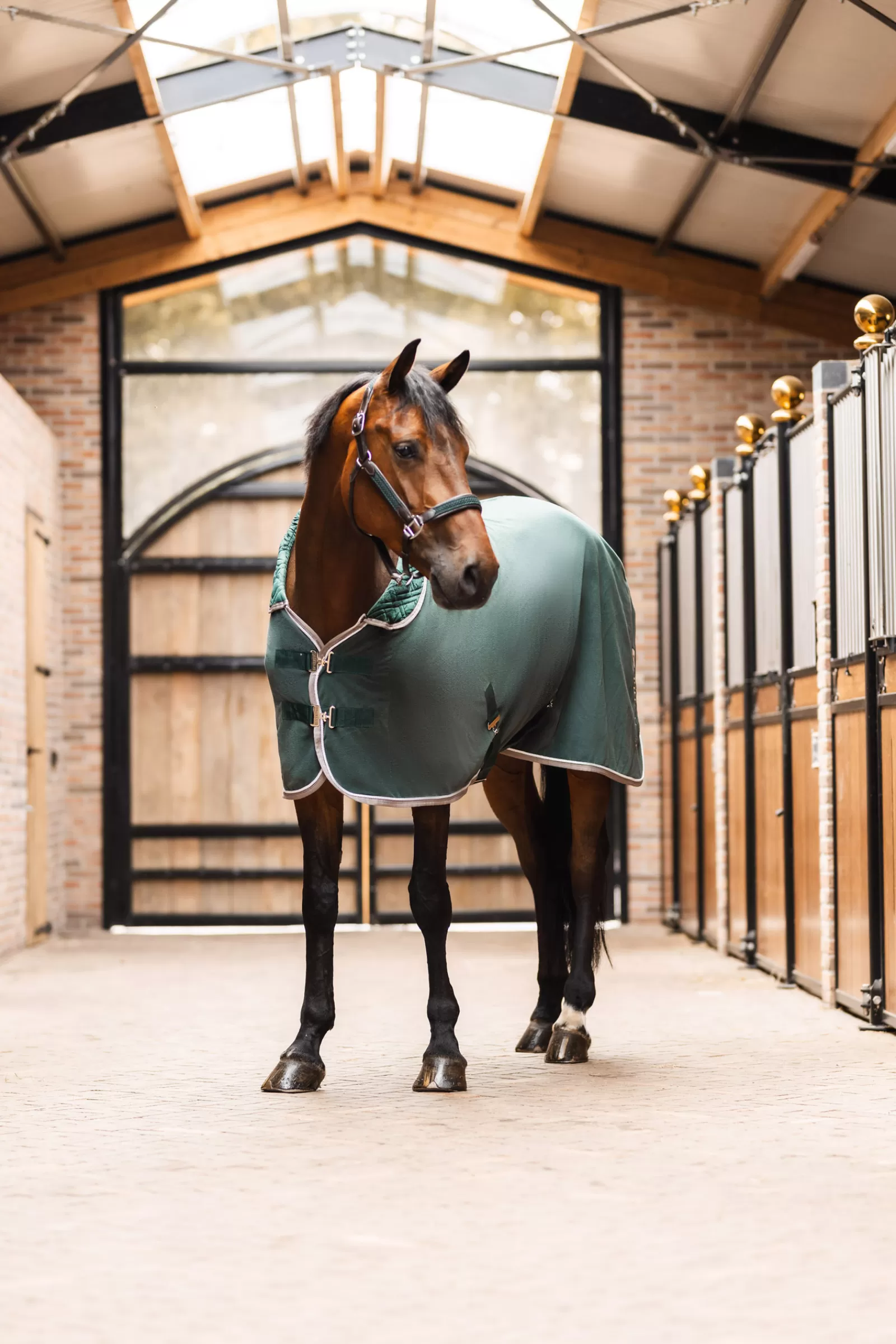 bvertigo B Vertigo Evolve Fleece Cooler> Fleece Horse Rugs & Cooler Rugs