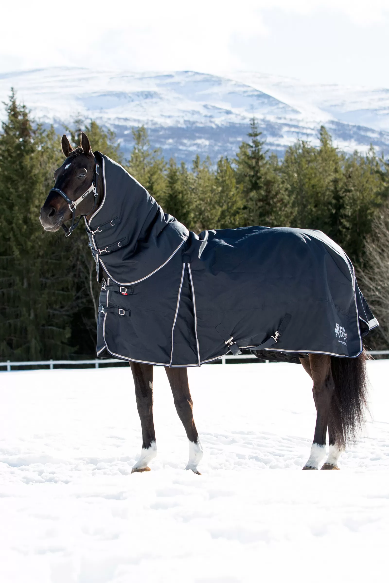 bvertigo B Vertigo Georgina Turnout With Neck 400G> Medium & Heavyweight Turnout Rugs