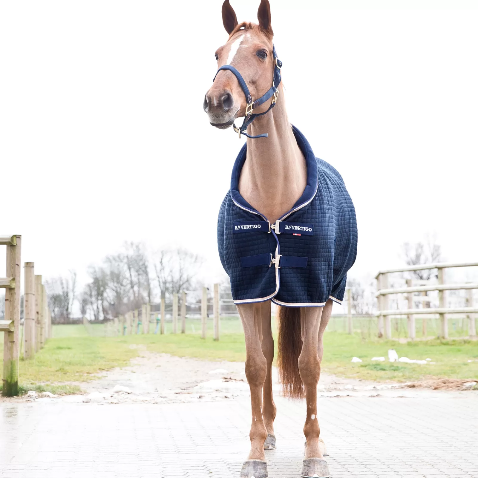 bvertigo B Vertigo Theo Thermo Rug> Fleece Horse Rugs & Cooler Rugs