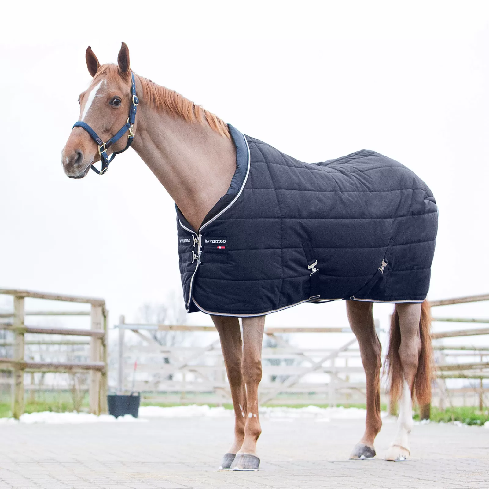 bvertigo B Vertigo Tim Stable Rug, 400G> Stable Rugs & Liners