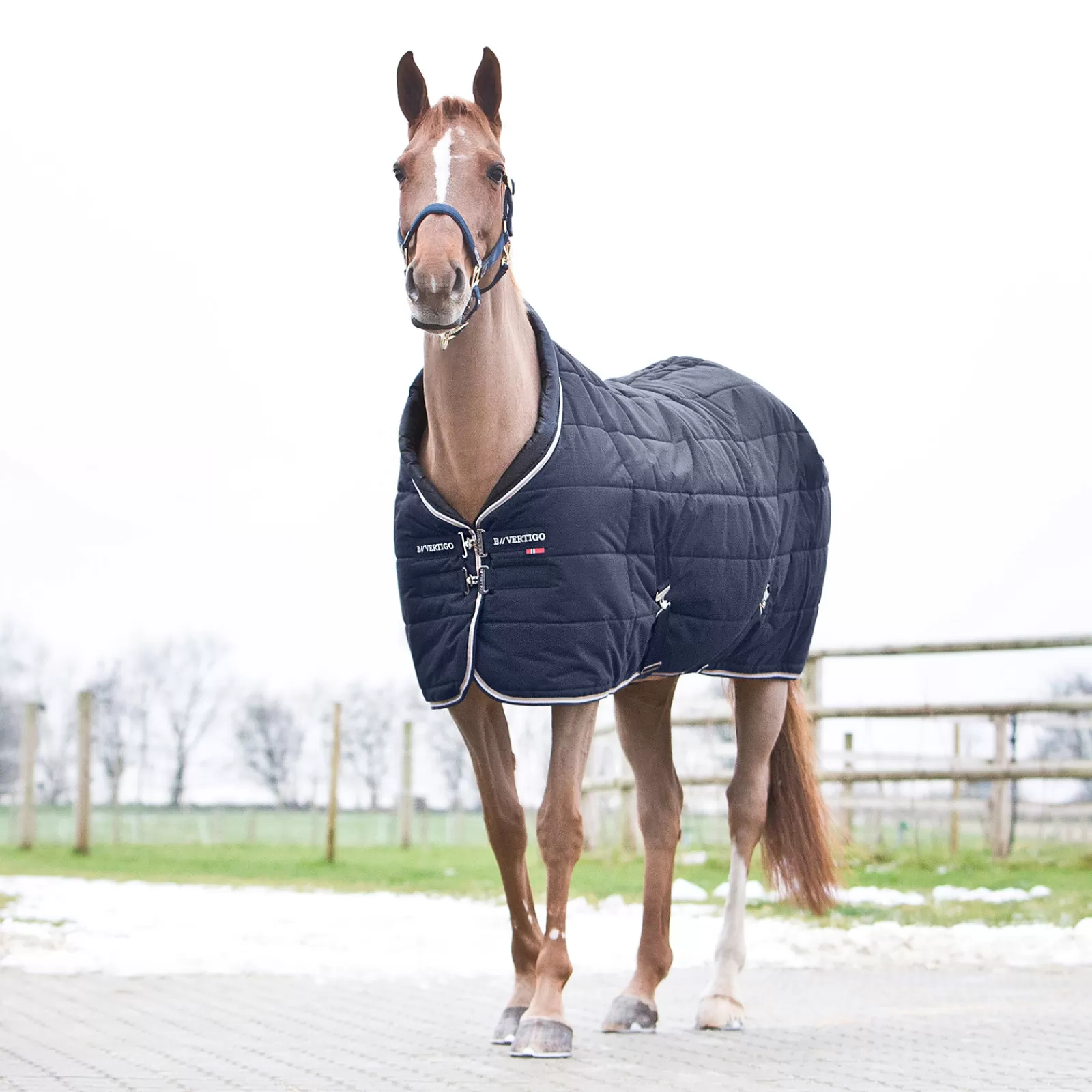 bvertigo B Vertigo Tim Stable Rug, 400G> Stable Rugs & Liners