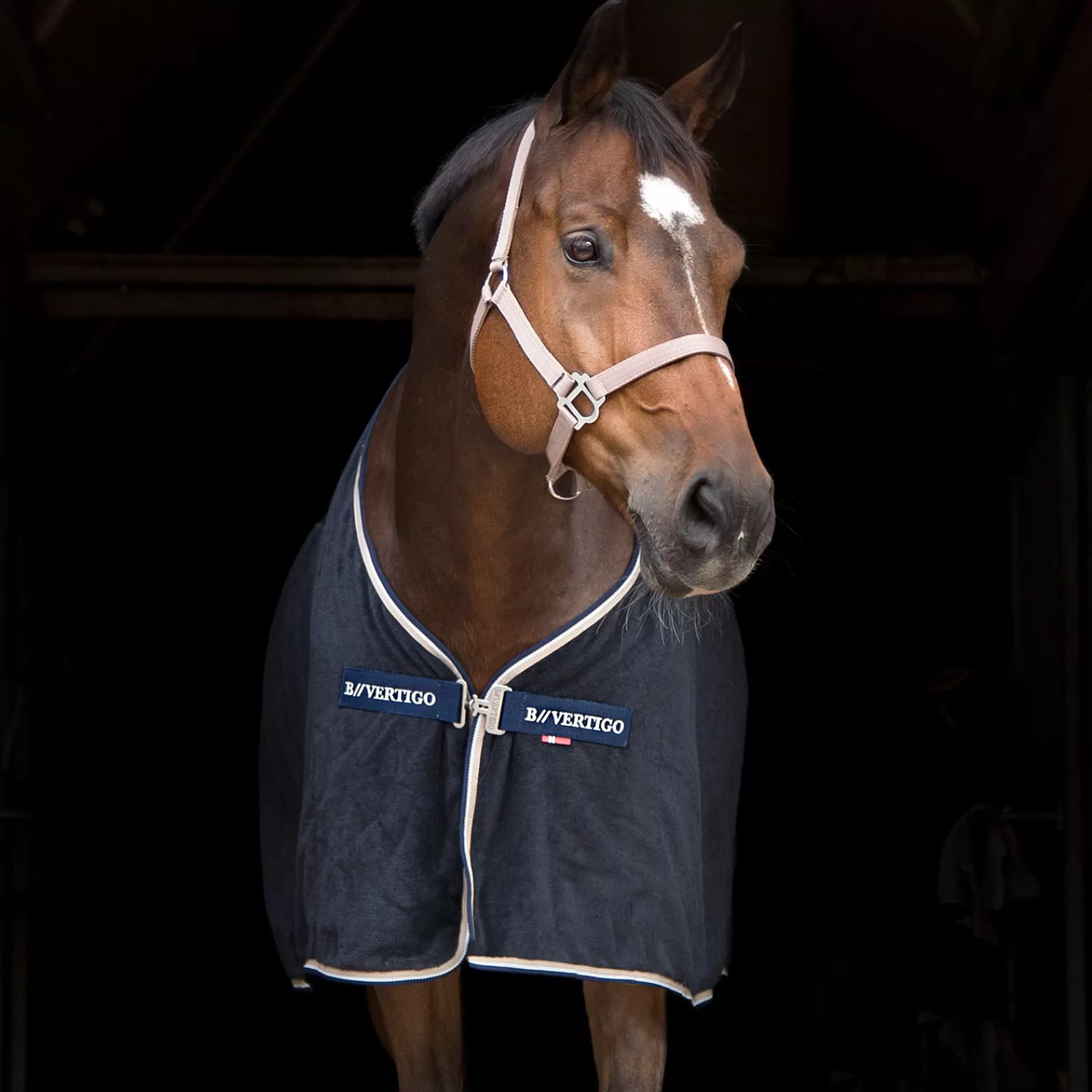 bvertigo B Vertigo Walter Towel Sheet> Fleece Horse Rugs & Cooler Rugs