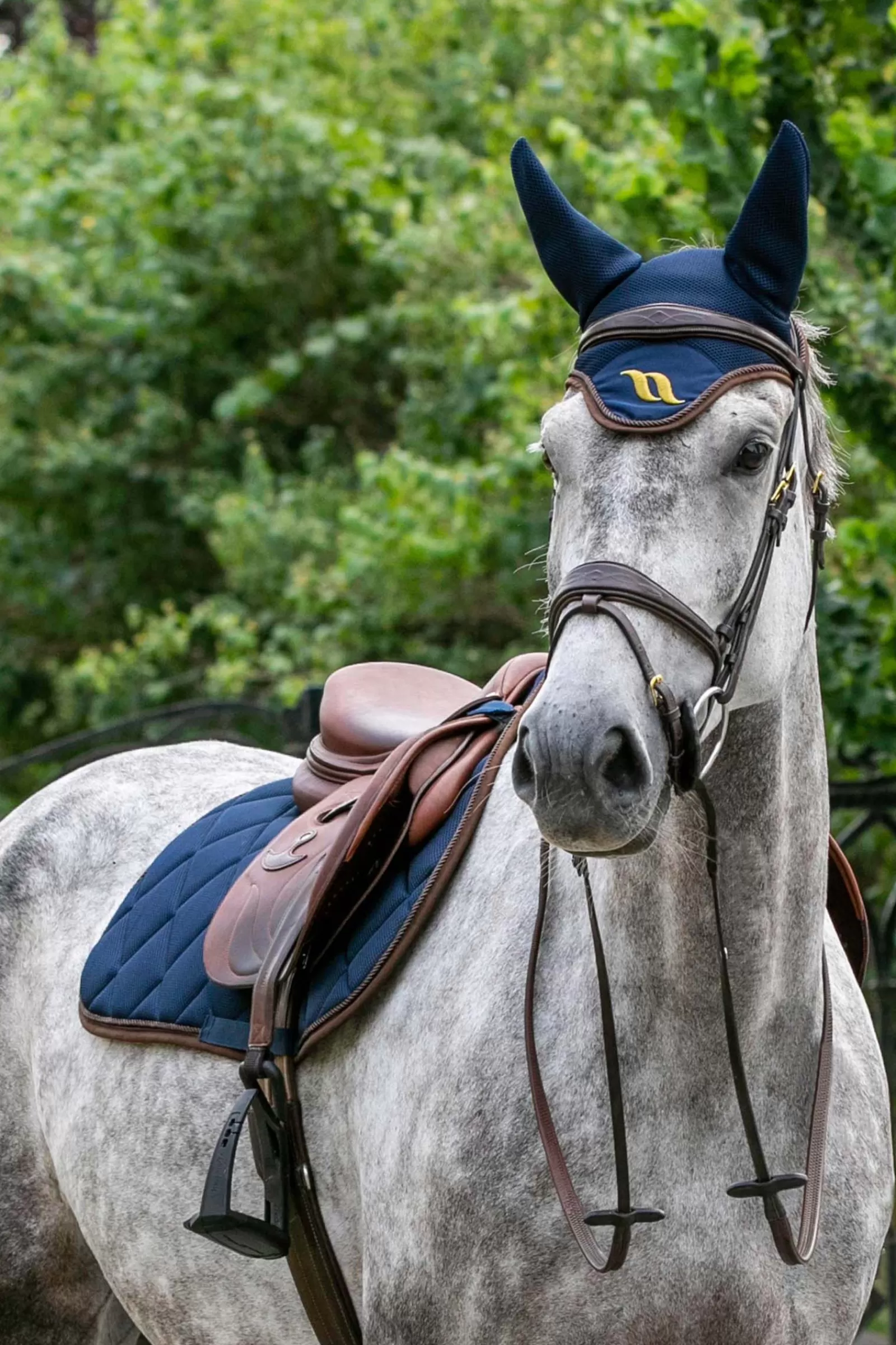 backontrack Back On Track Airflow Dressage Saddle Pad> Dressage Saddle Pads