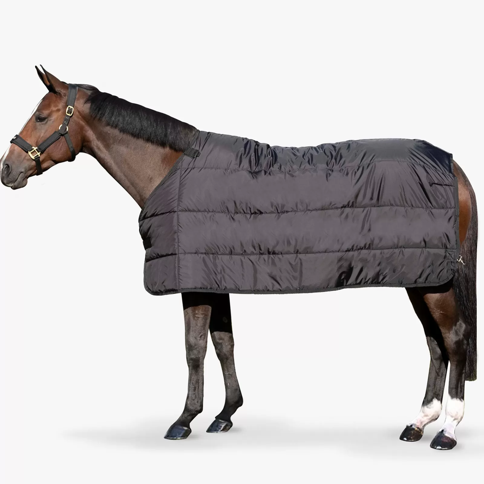 backontrack Back On Track Felix Under Rug, 200G> Stable Rugs & Liners