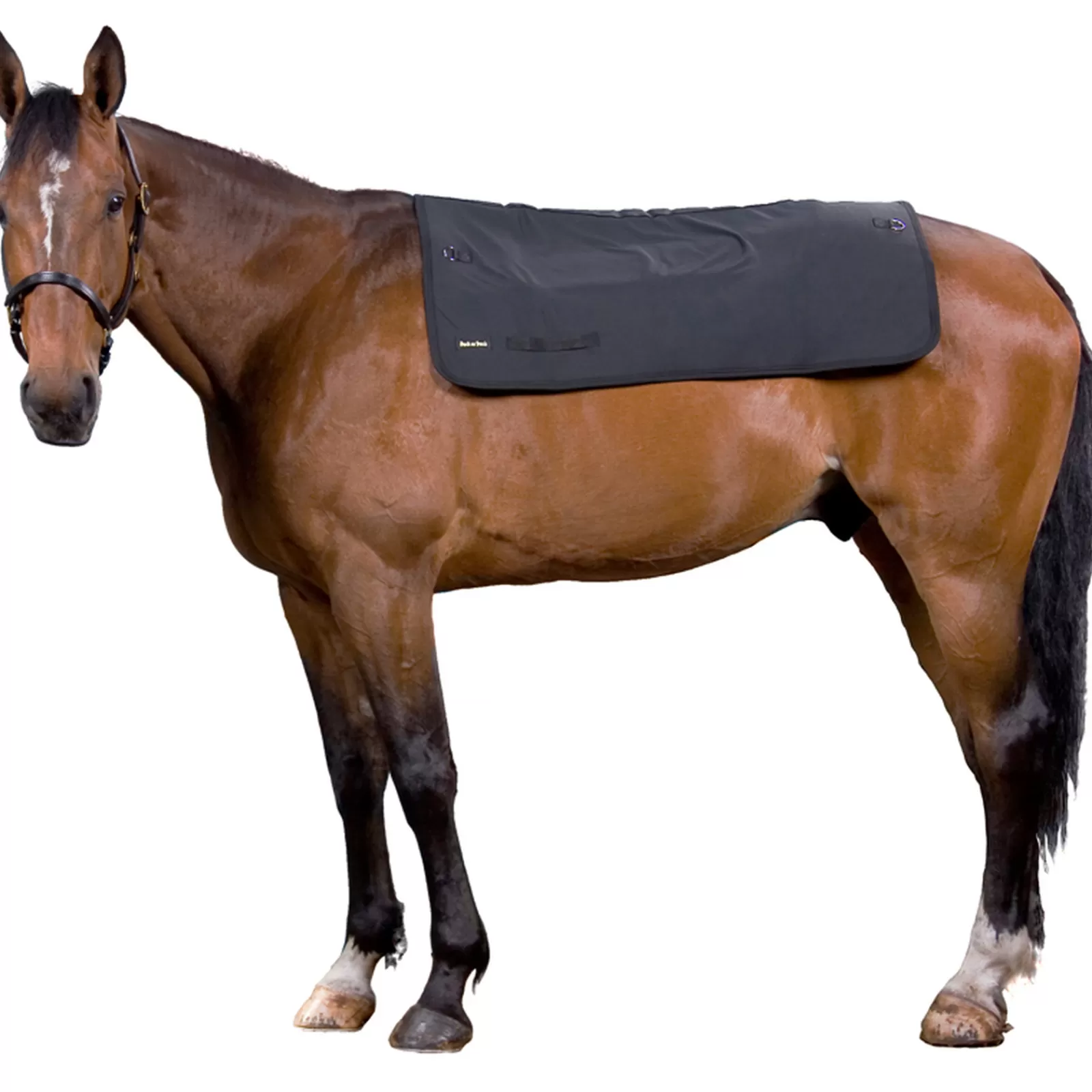 backontrack Back On Track Horseback Warmer, 100X120> Saddle Pad Accessories