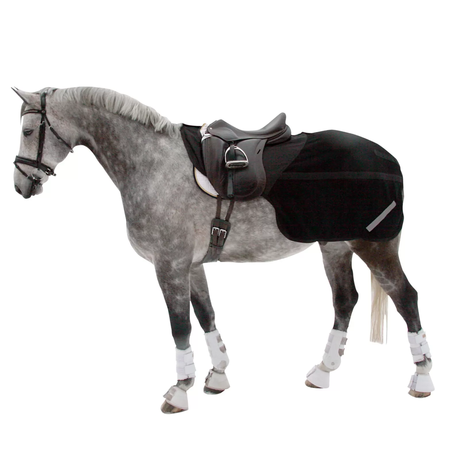 backontrack Back On Track Supreme Riding Rug> Exercise Sheets & Quarter Sheets