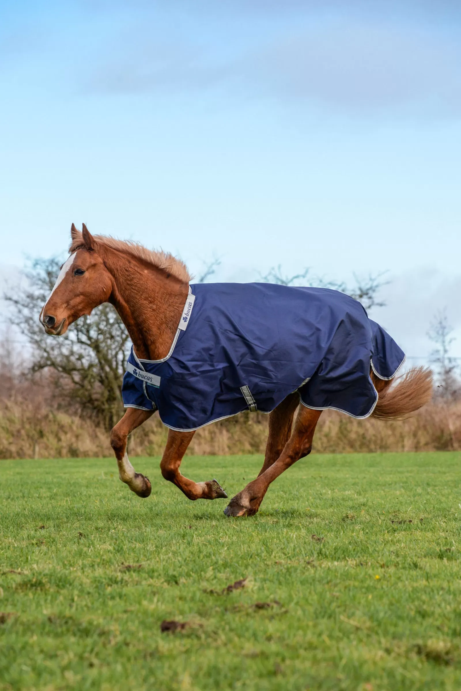 bucas Atlantic Turnout Big Neck 200G> Medium & Heavyweight Turnout Rugs