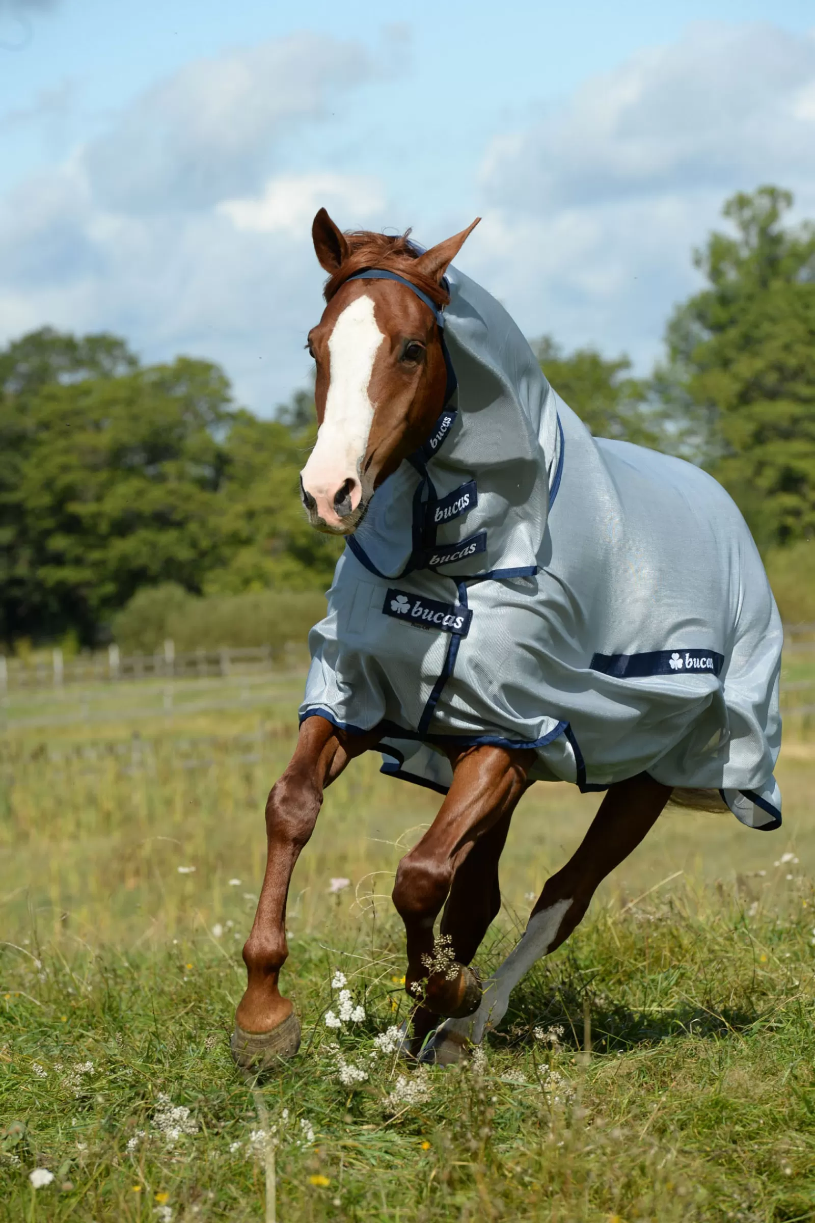 bucas Buzz-Off Full-Neck Fly Rug With Fixed Neck> Fly Rugs