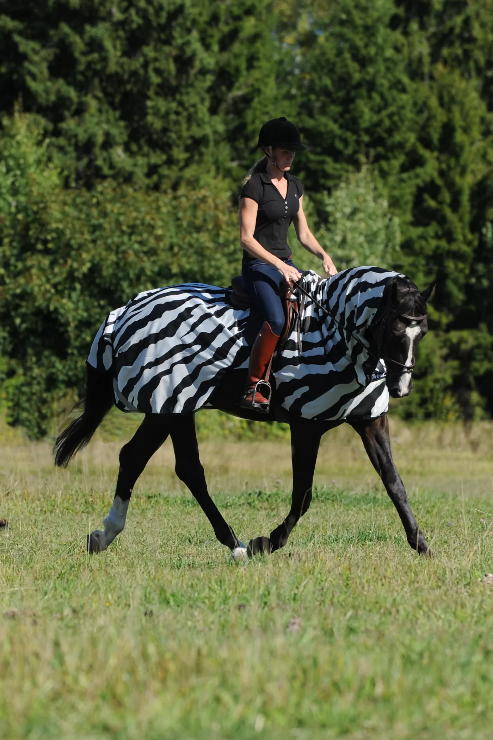 bucas Buzz-Off Riding Zebra Fly- And Riding Rug> Fly Rugs