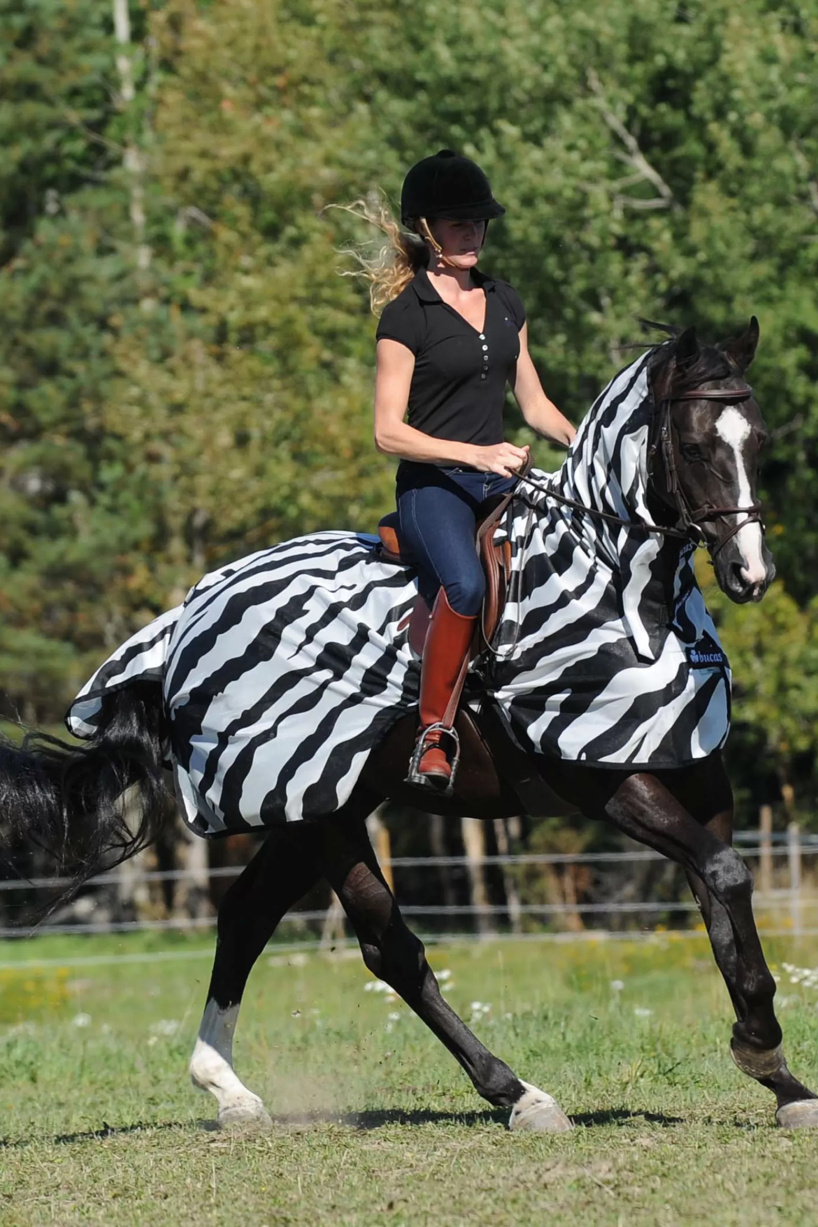 bucas Buzz-Off Riding Zebra Fly- And Riding Rug> Fly Rugs