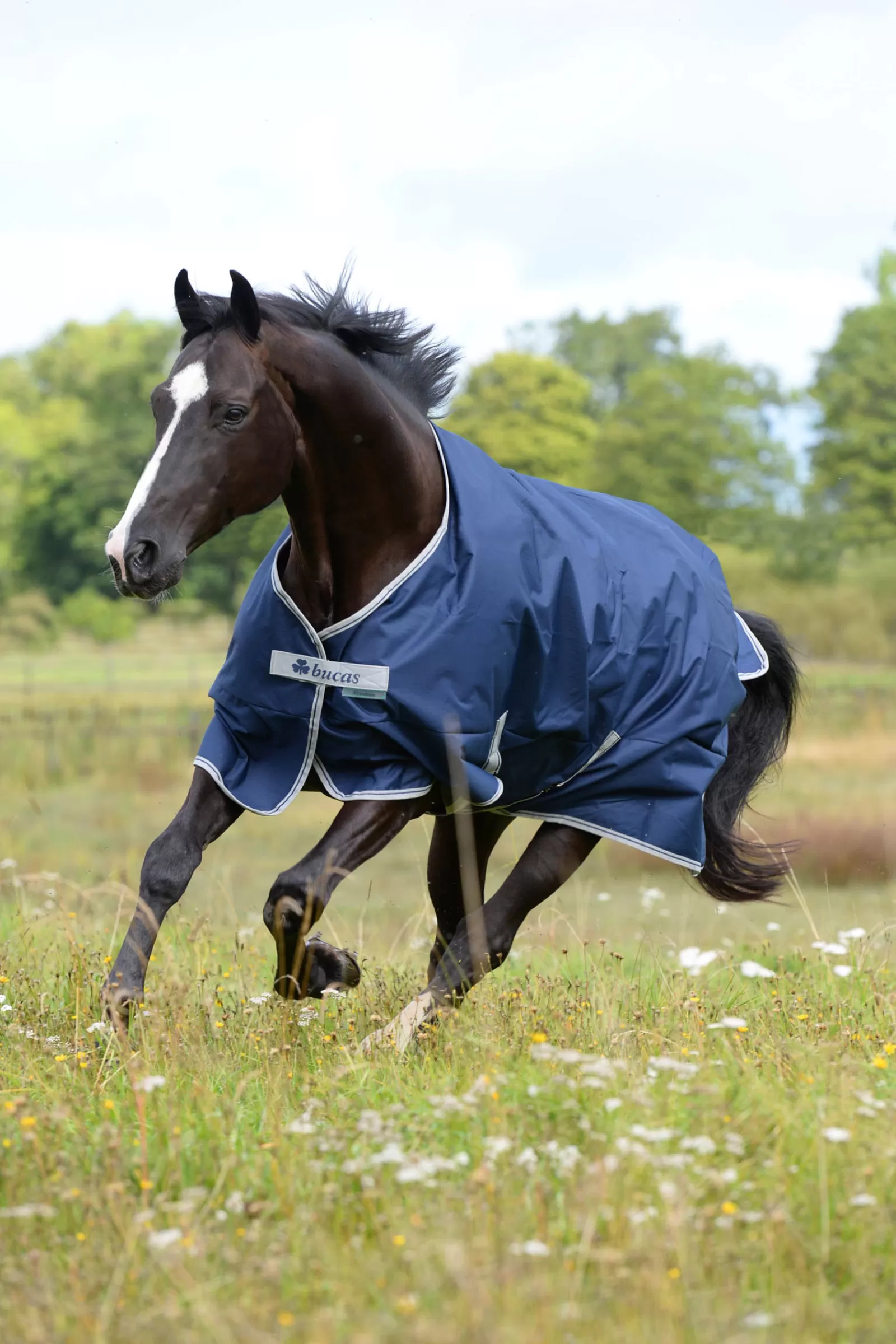 bucas Freedom Turnout Rug, 150G> Medium & Heavyweight Turnout Rugs