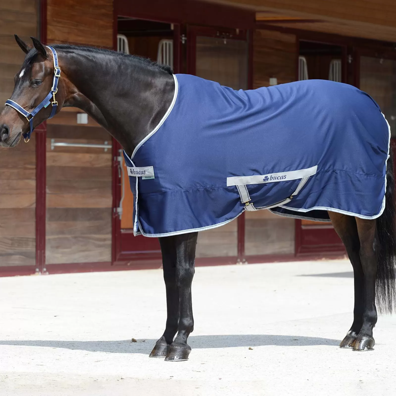 bucas Freedom Twill Sheet> Lightweight Turnout Rugs