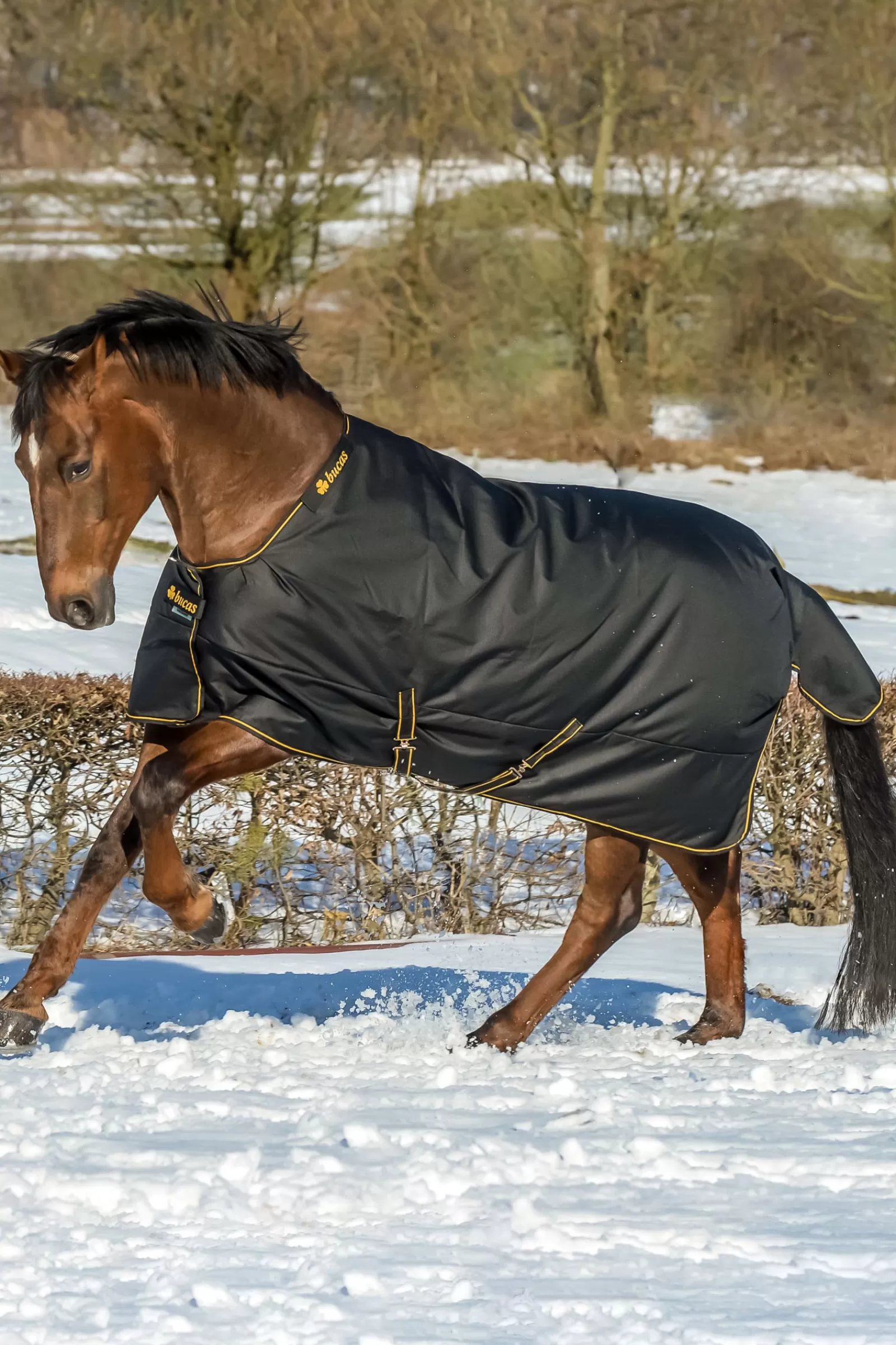 bucas Irish Turnout 150G> Lightweight Turnout Rugs