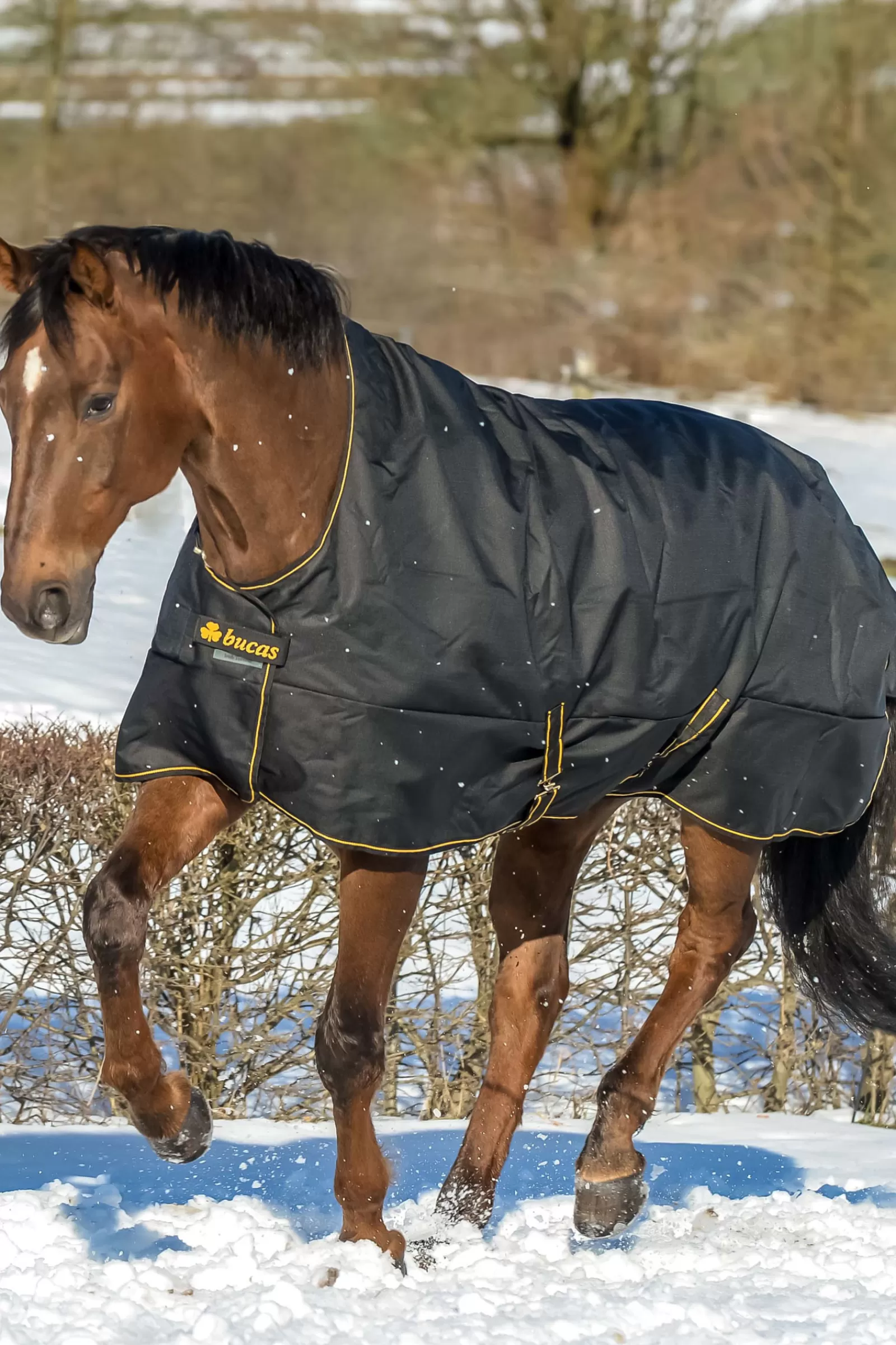 bucas Irish Turnout Rug With High Neck, 50G> Lightweight Turnout Rugs