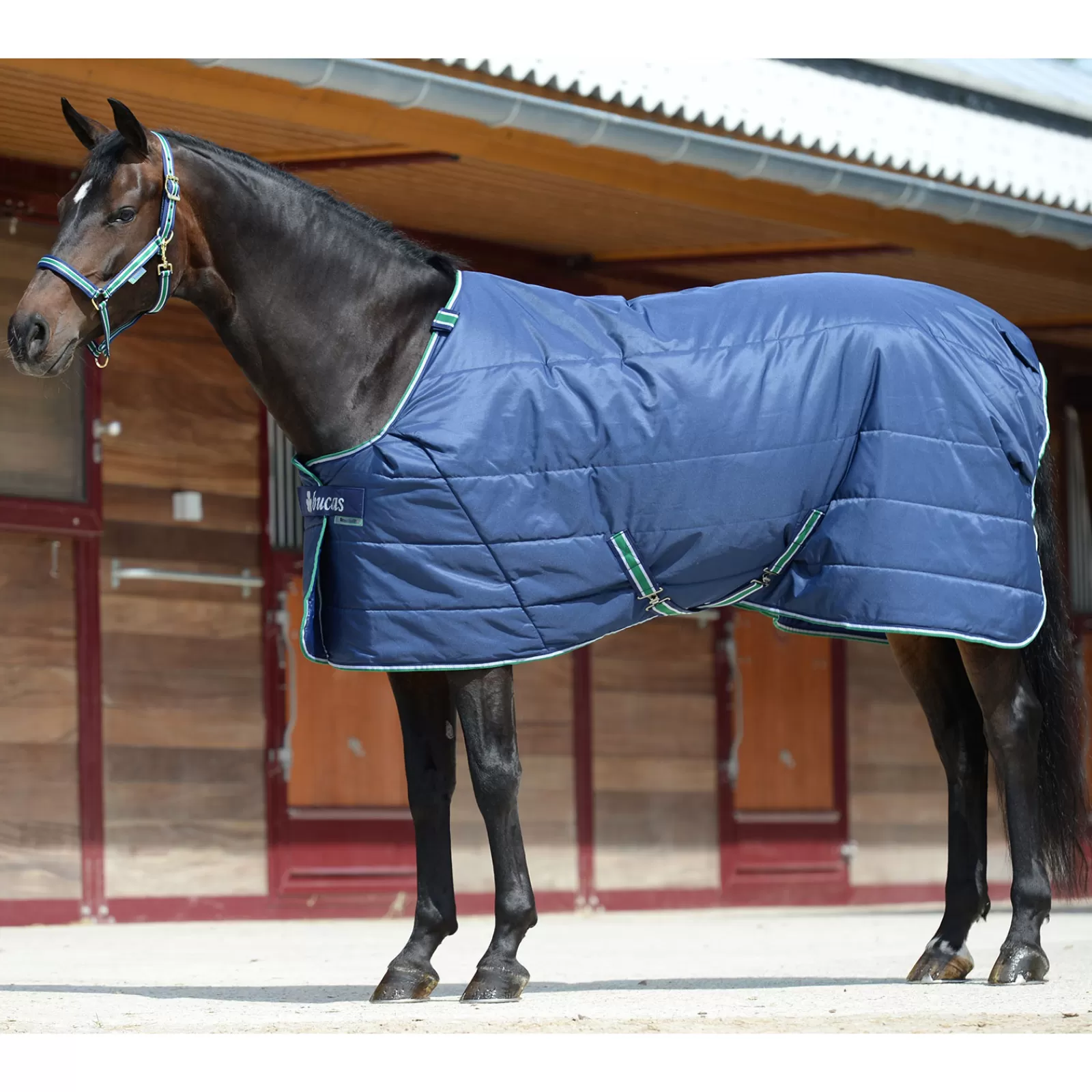 bucas Quilt 150G Sd Big Neck> Stable Rugs & Liners