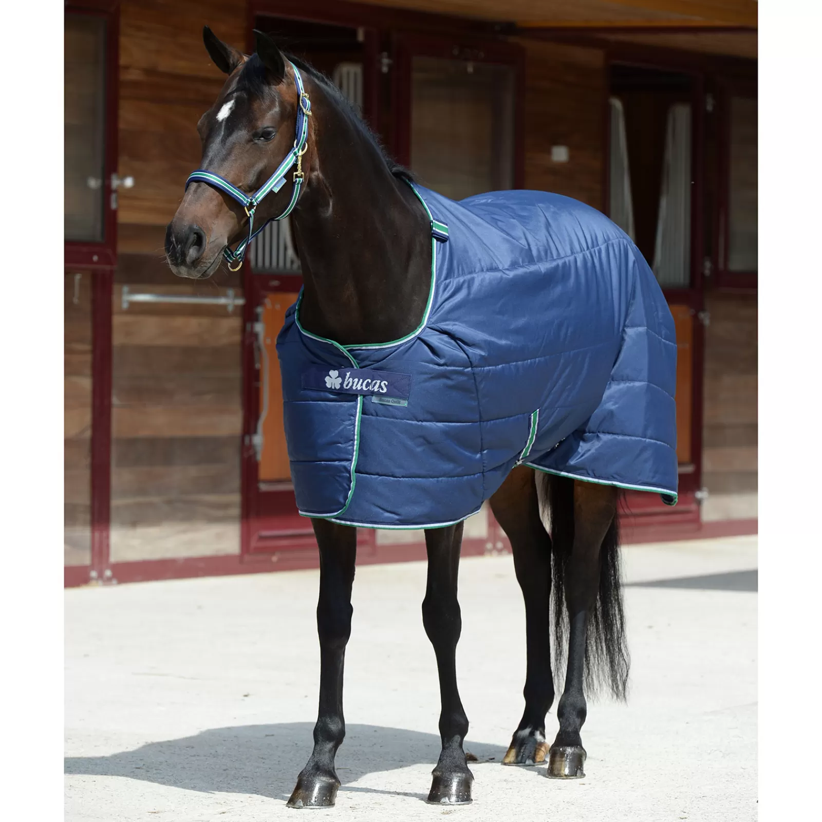 bucas Quilt 150G Sd Big Neck> Stable Rugs & Liners