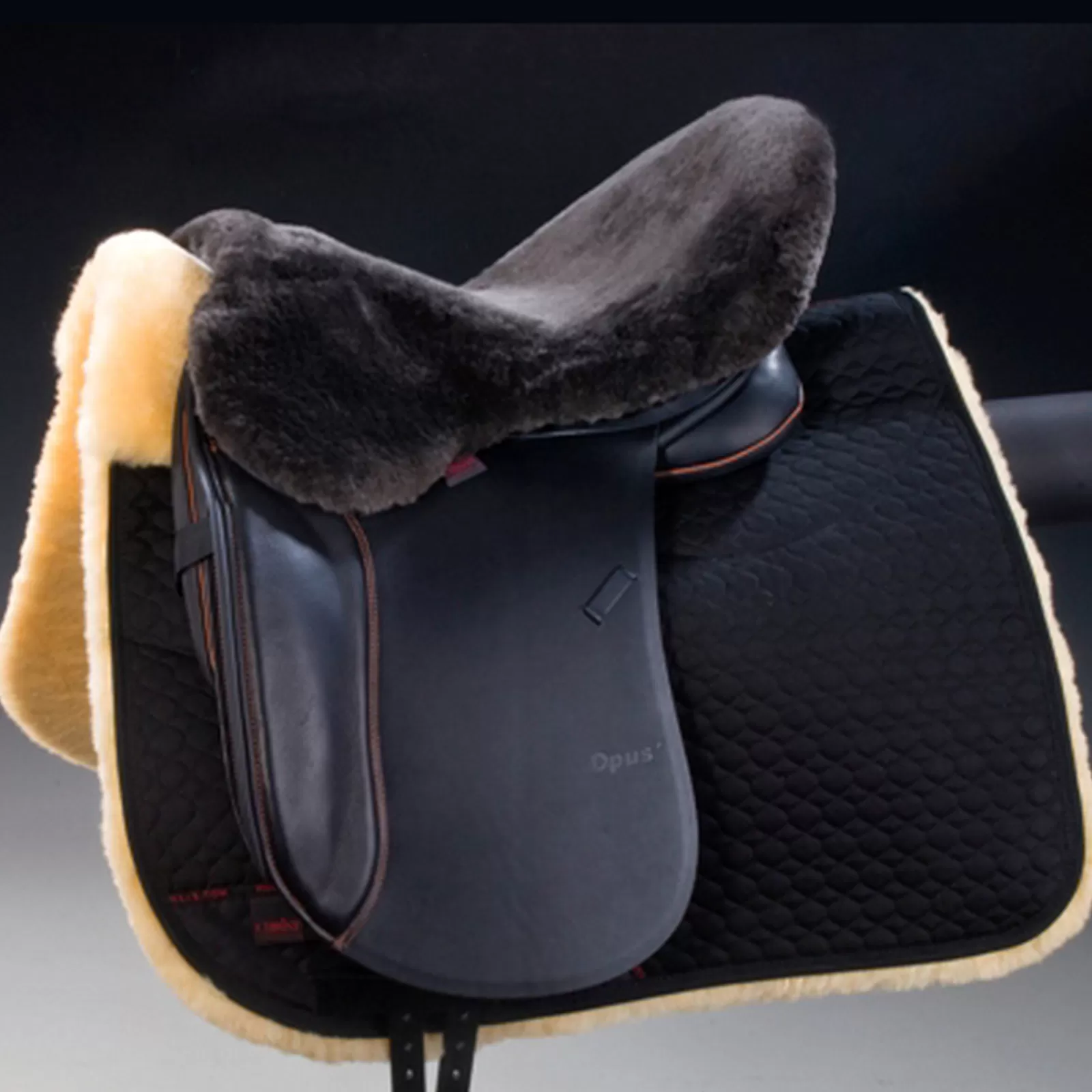 christ Seat Cover For English Saddles> Saddles