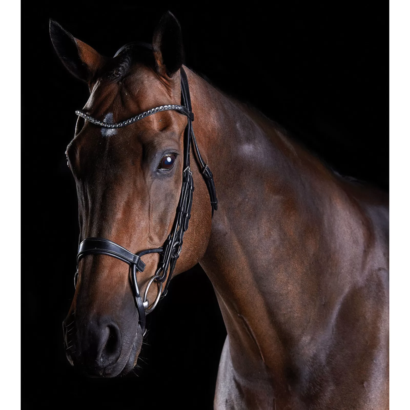 collegiate Comfitec Crystal Bridle> Bridles & Nosebands