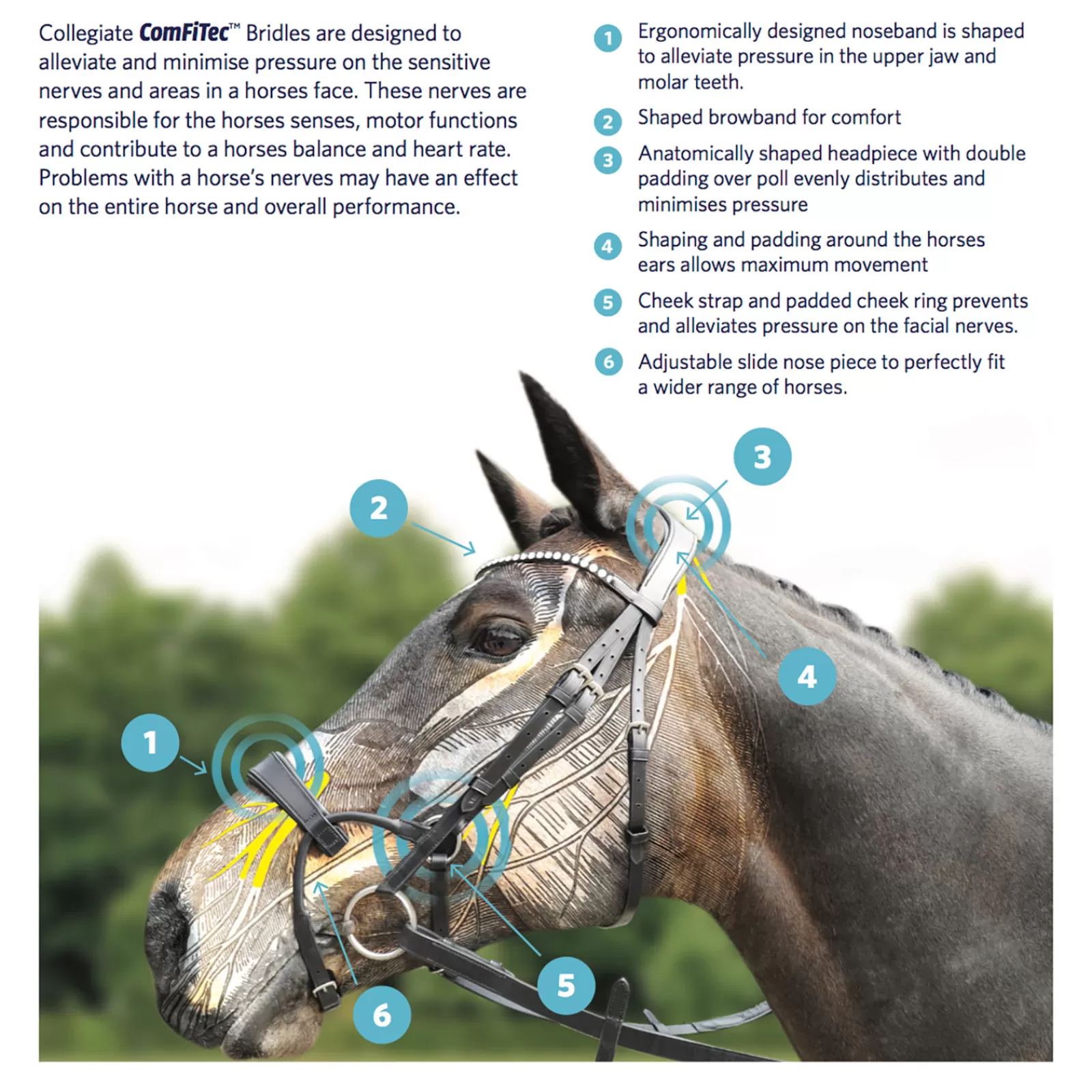 collegiate Comfitec Crystal Bridle> Bridles & Nosebands