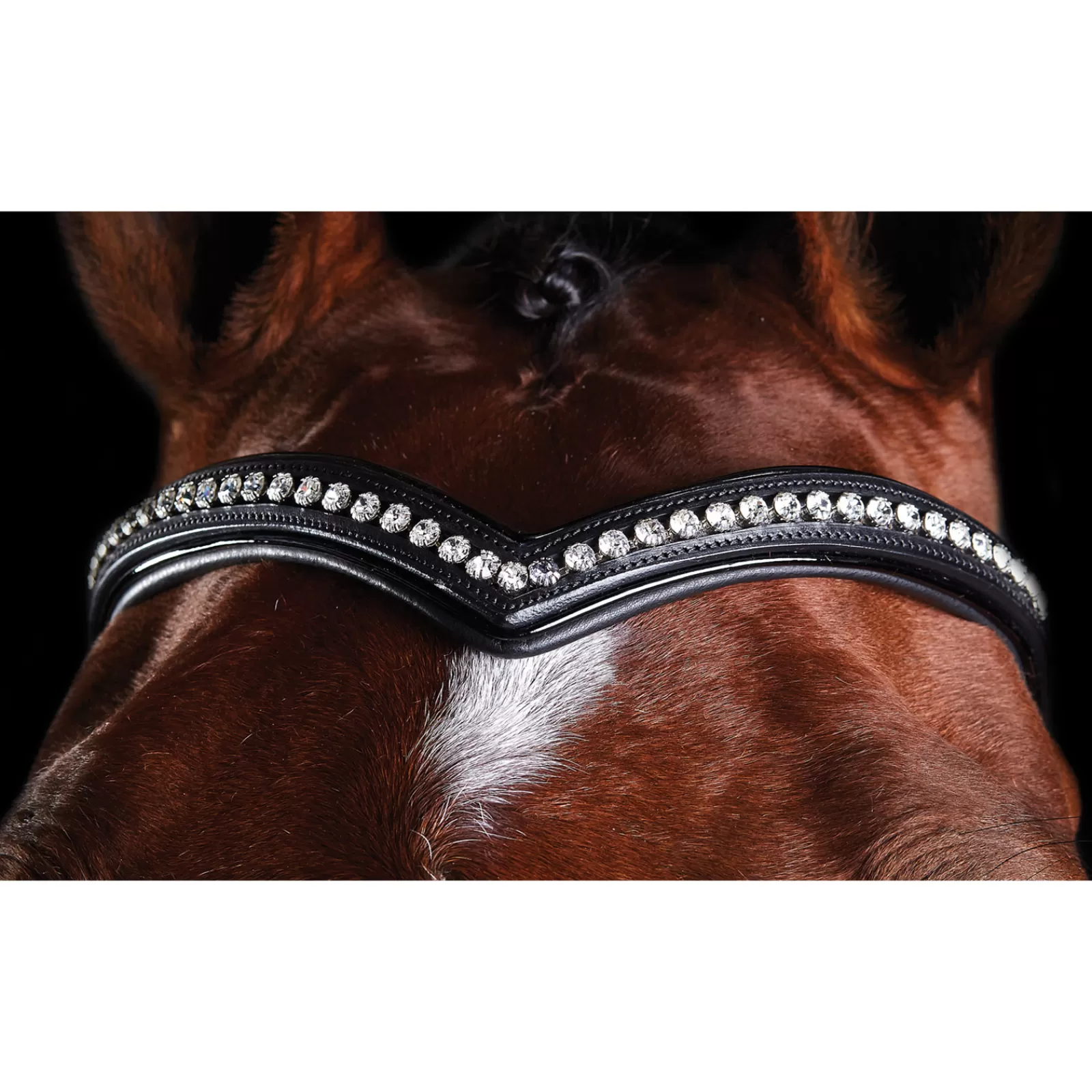 collegiate Comfitec Patent Bridle> Bridles & Nosebands