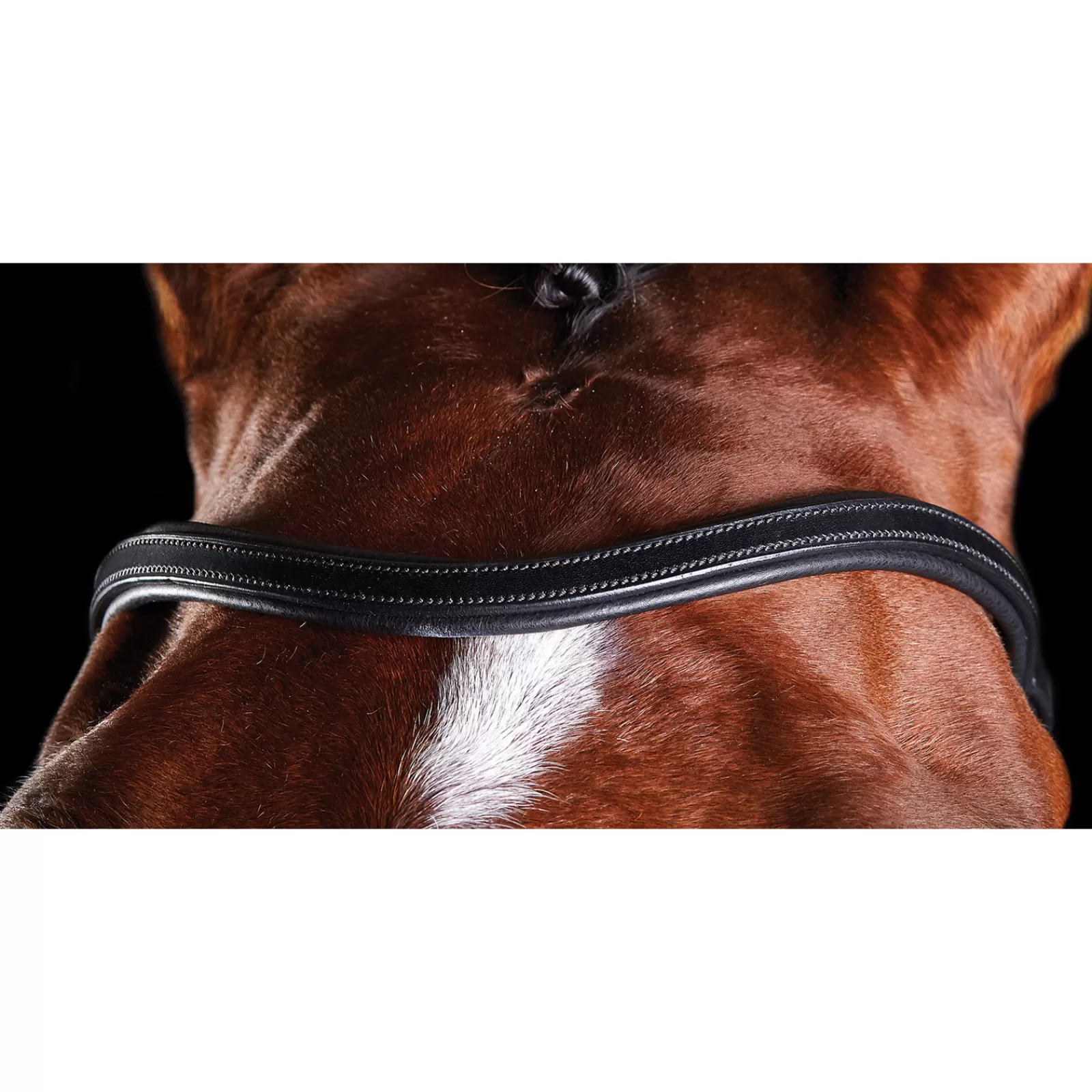 collegiate Comfitec Training Bridle> Bridles & Nosebands