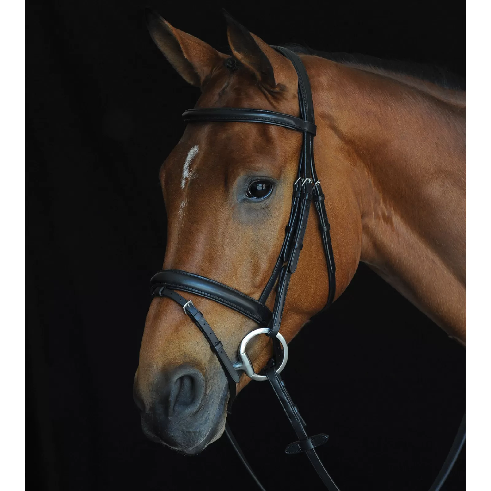 collegiate Comfort Crown Padded Raised Flash Bridle> Bridles & Nosebands