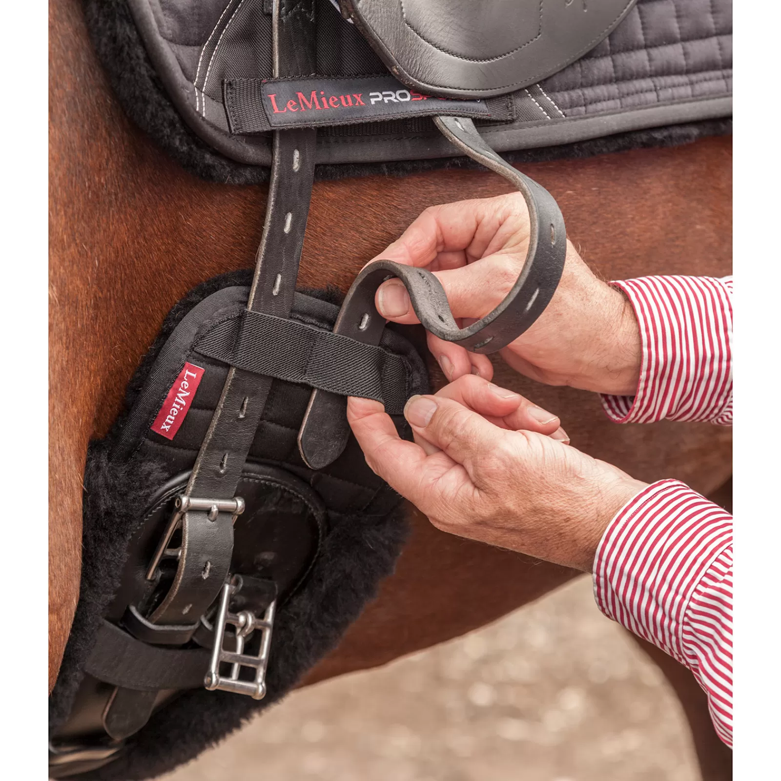 lemieux Dressage Girth Covers> Girths