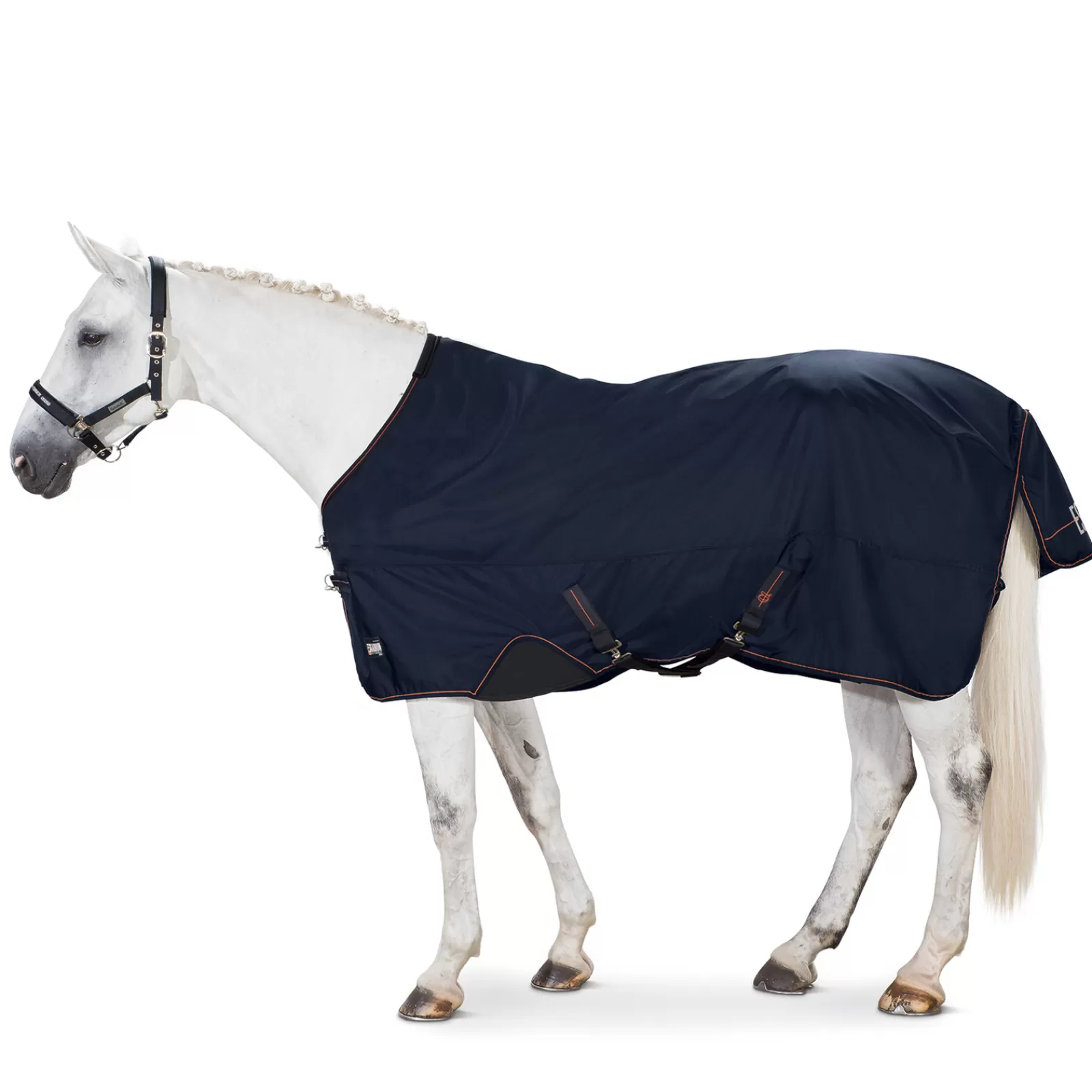 eskadron Alpha Turnout Rug, 50 G> Lightweight Turnout Rugs