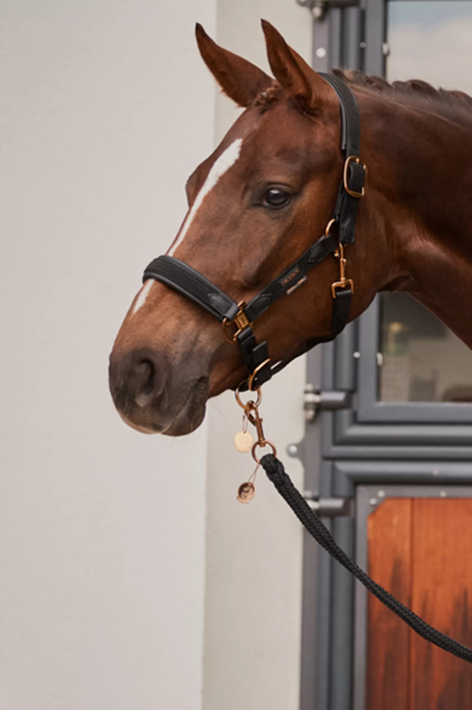 eskadron Platinum 23 Double Pin Plait Headcollar> Headcollars & Halters