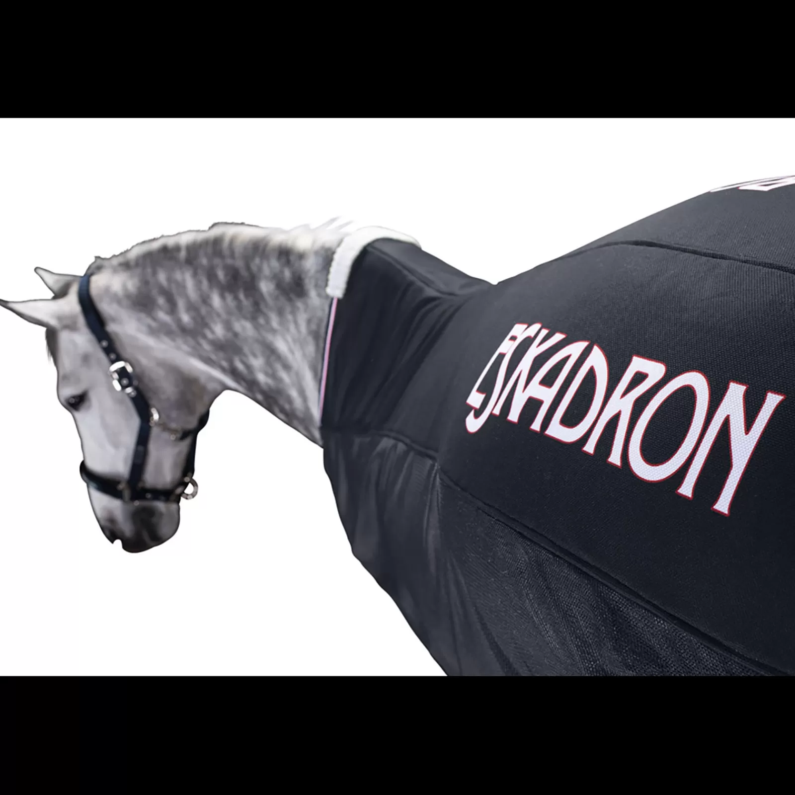 eskadron Pro Cover Fly Rug> Fly Rugs