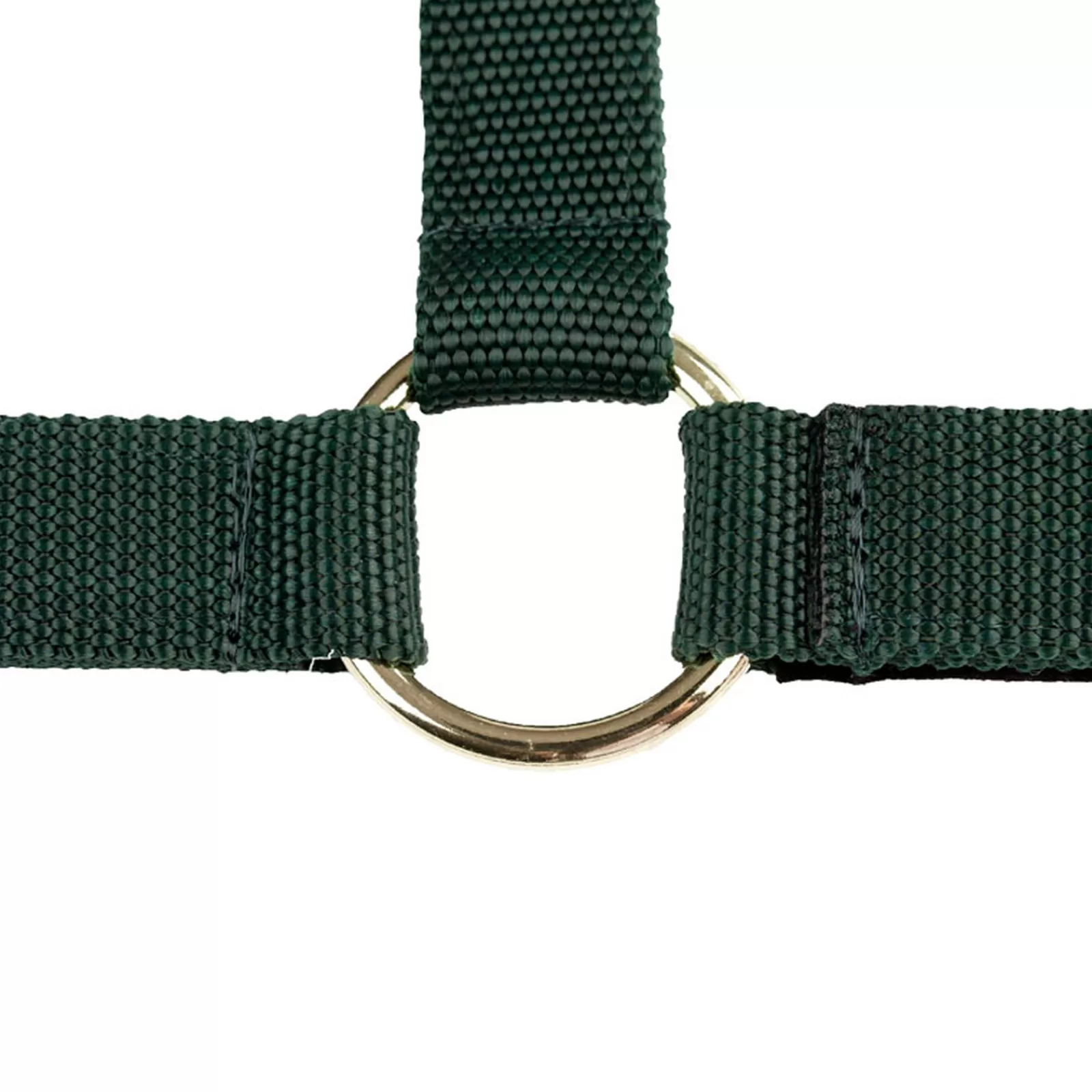 finntack Pro Nylon Halter With Open Nose> Headcollars & Halters