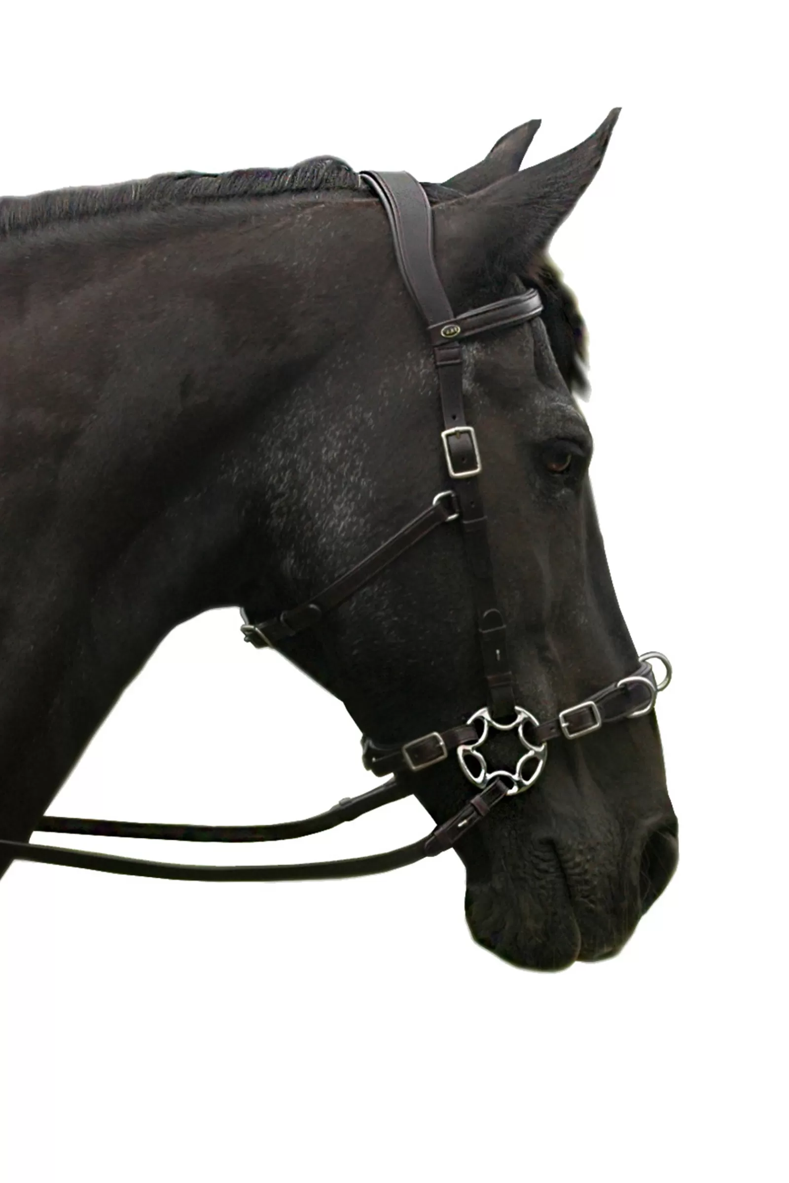 fra Caval Compl. Cavemore Bridle (Syst.2) W/ Scissors & Reins> Bridles & Nosebands
