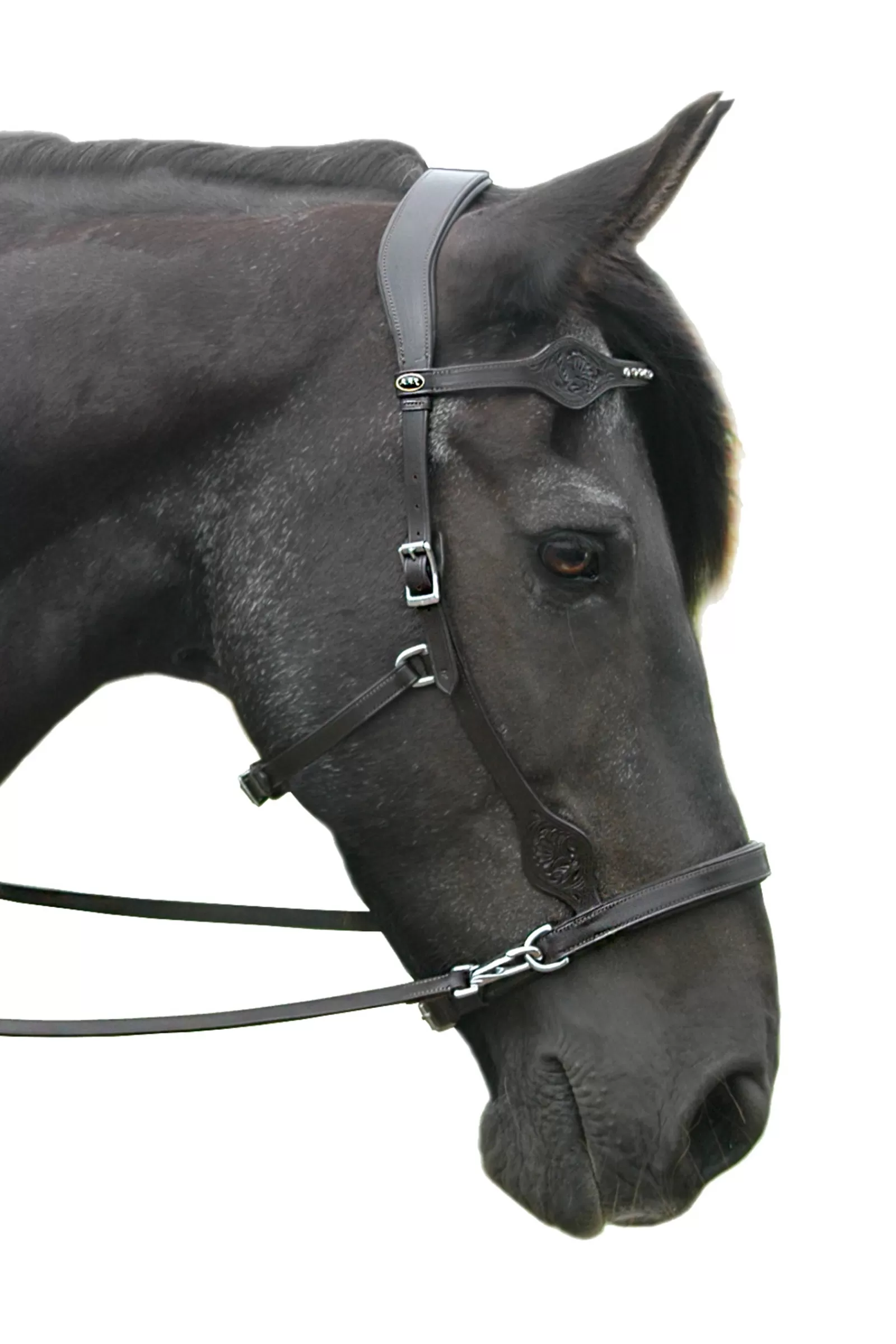 fra Dandy Sidepull (System 3) Leather, W/ Leather Clip Reins> Bridles & Nosebands