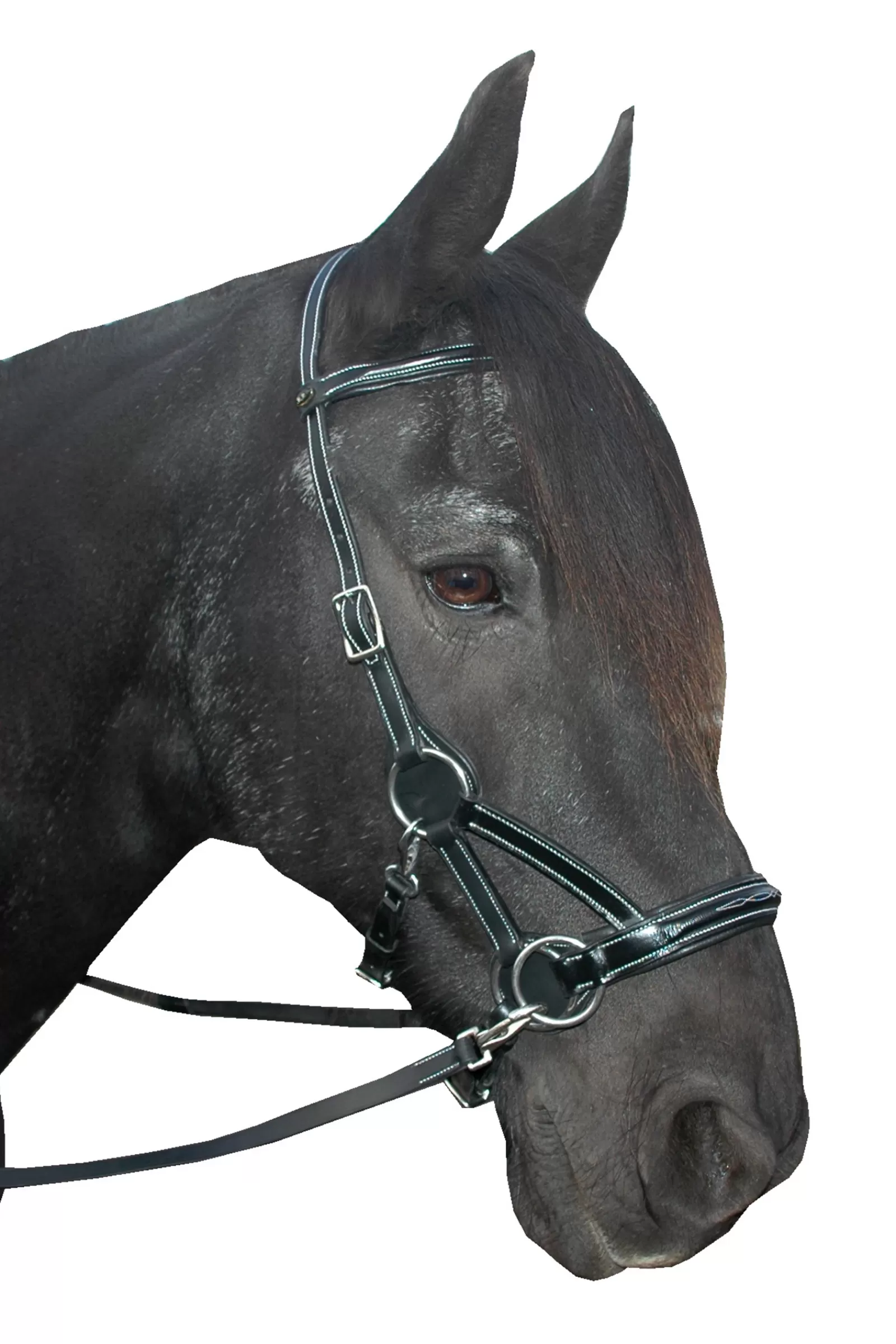 fra F.R.A. Flandy /Side Pull (System 3) English Leather> Bridles & Nosebands