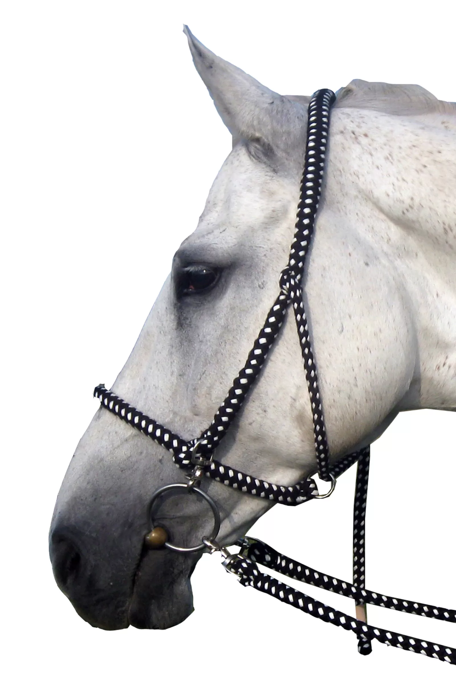 fra F.R.A. Gregor Halter-Bridle Cotton Reins Included> Headcollars & Halters