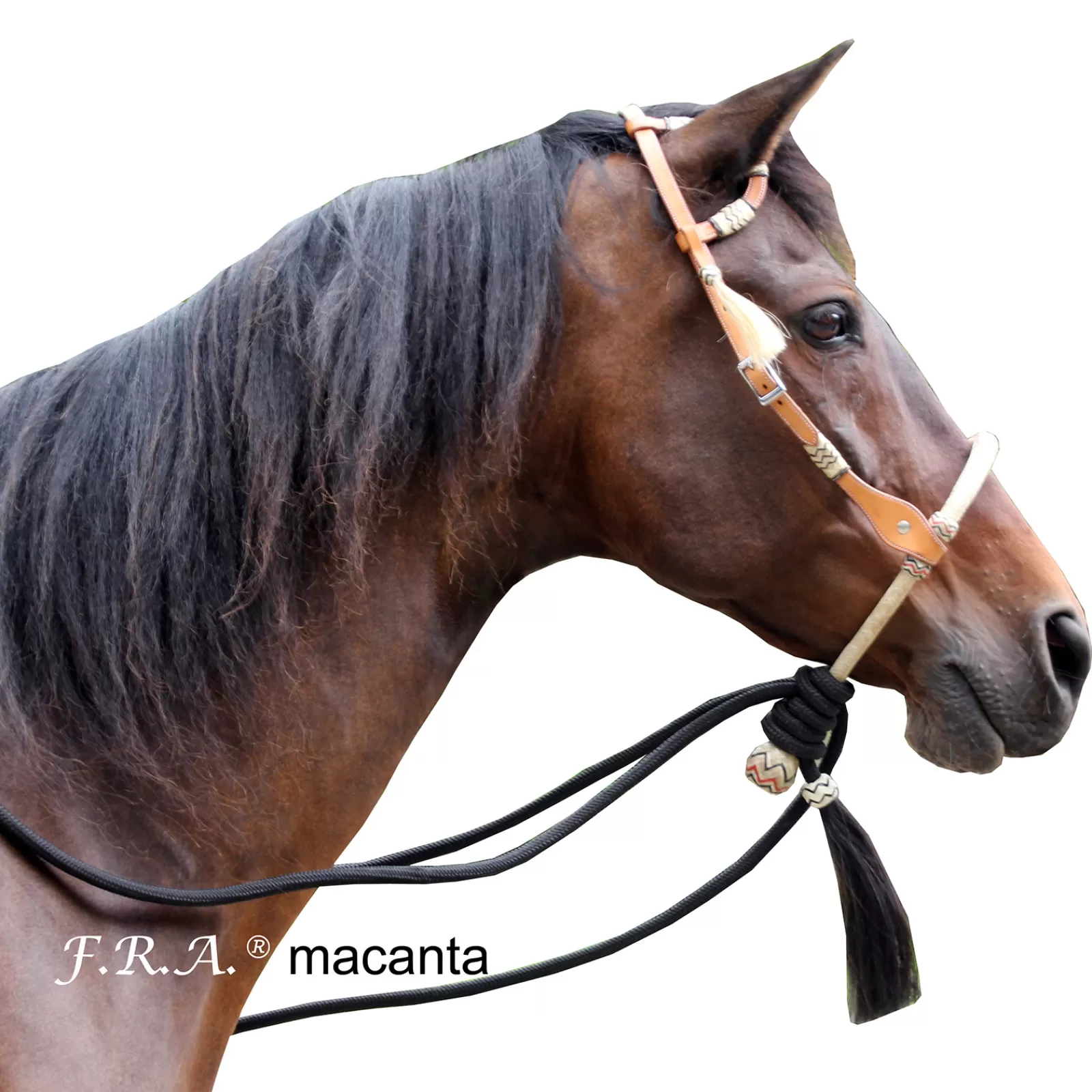 fra F.R.A. Macanta Complete Bosal Bridle (System 2)> Bridles & Nosebands