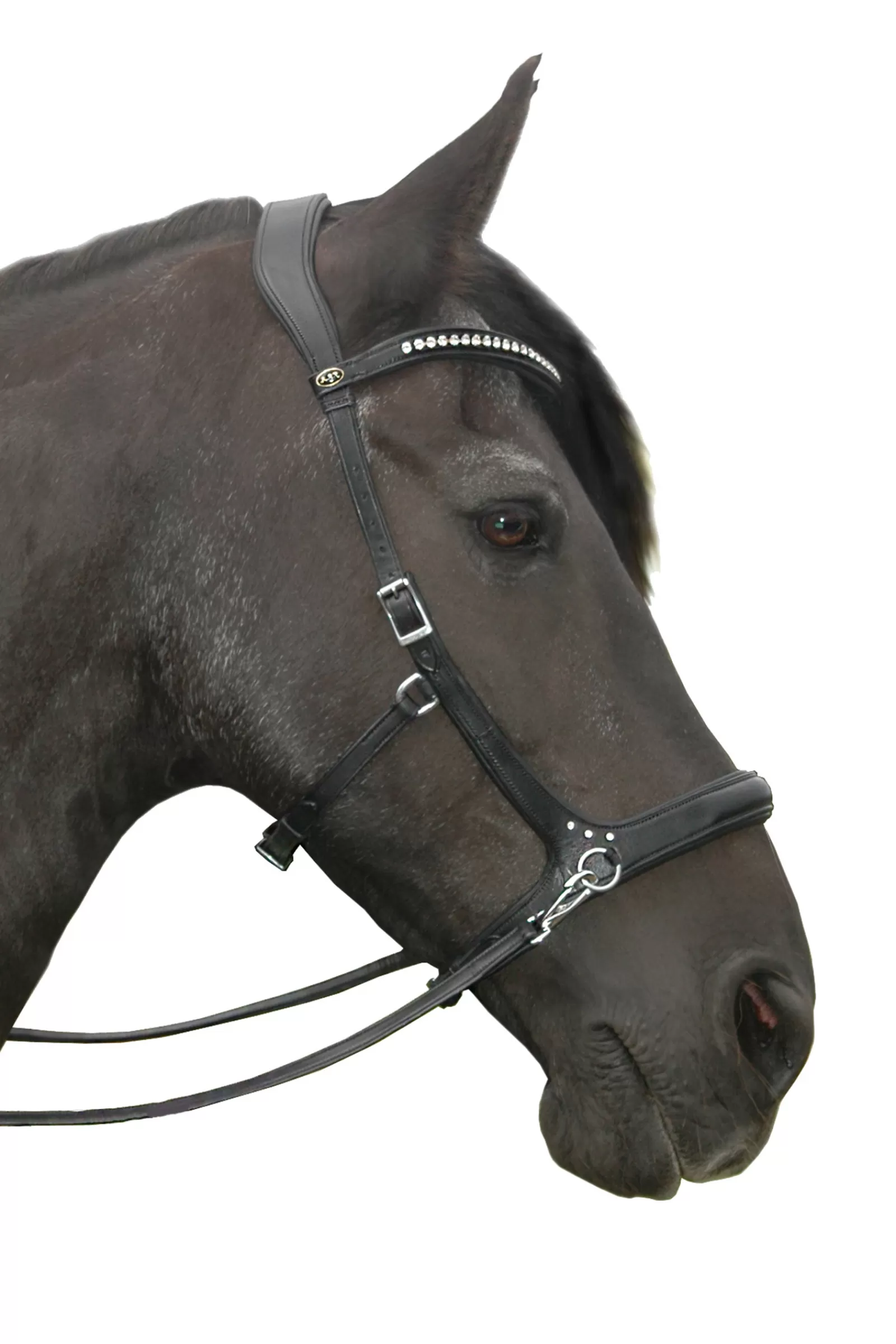 fra Rebecca Sidepull (System 3), Crystal Finishing W. Rein> Bridles & Nosebands