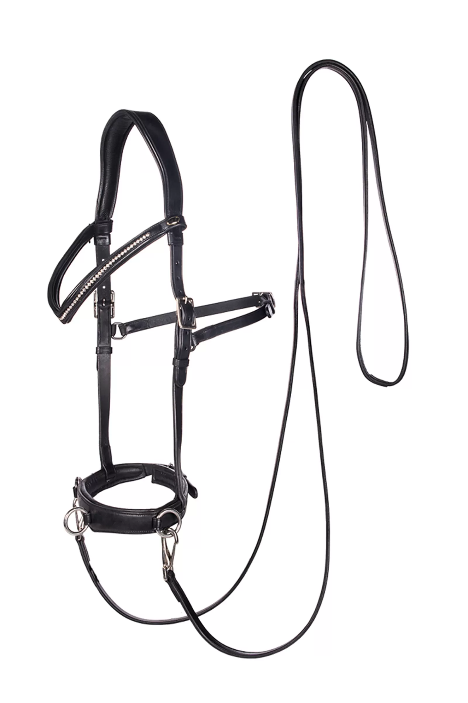 fra F.R.A. Wendy B Cavesson, Bitless Bridle, Leather Reins W/ Clip> Auxiliary Reins & Lunging Aids