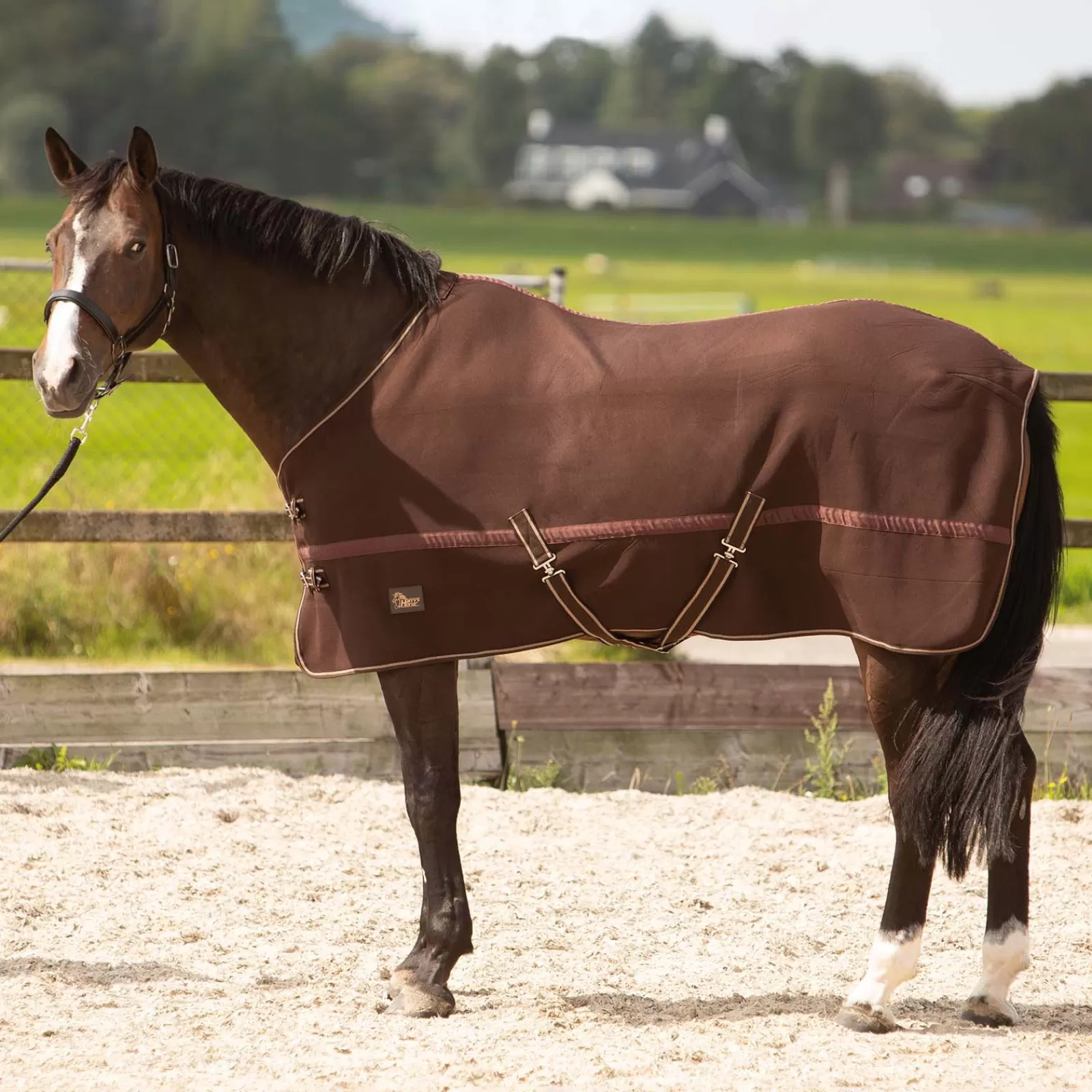 harryshorse Harry'S Horse Cooler> Fleece Horse Rugs & Cooler Rugs