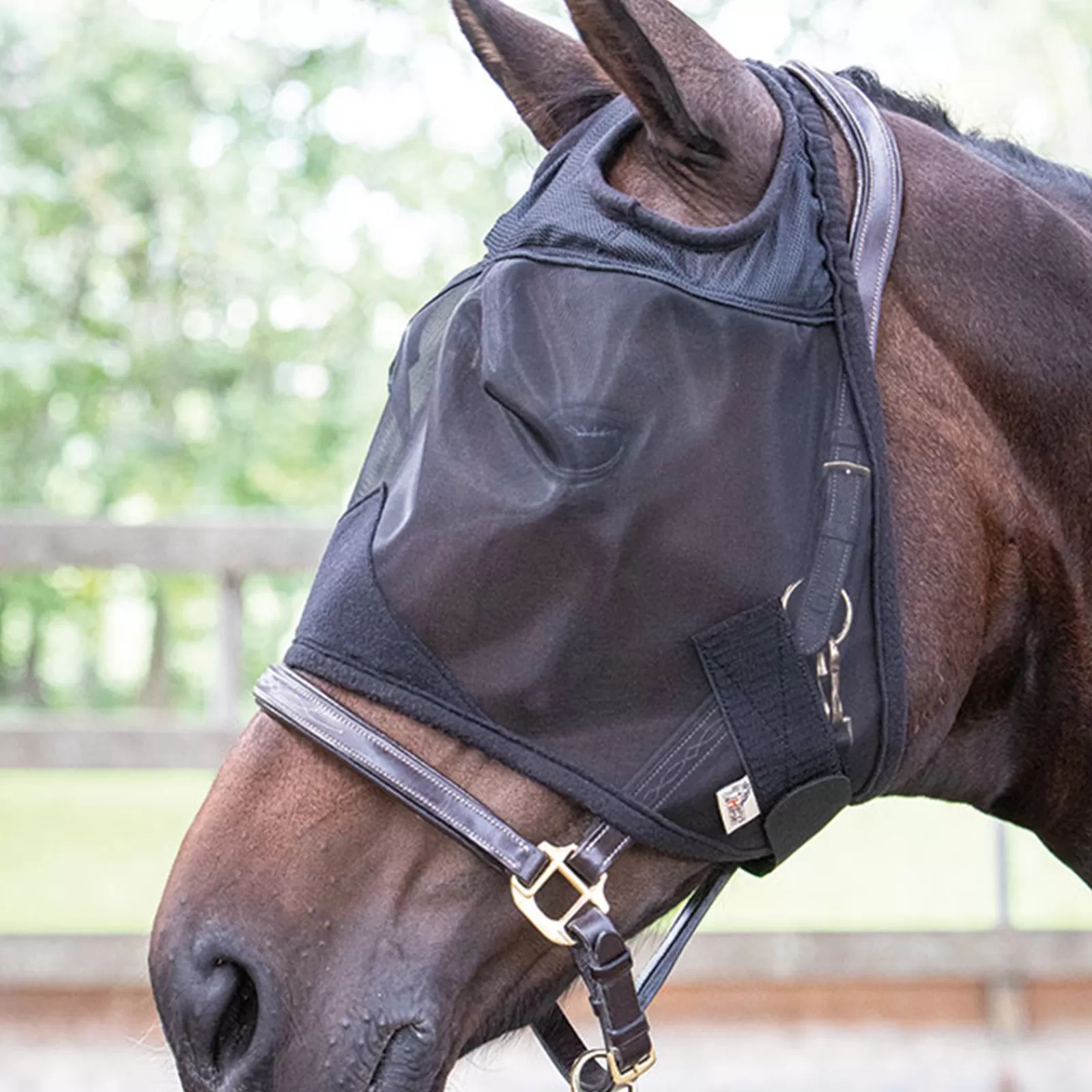 harryshorse Harry'S Horse Fly Mask Flyshield Without Ears> Fly Masks & Fringes