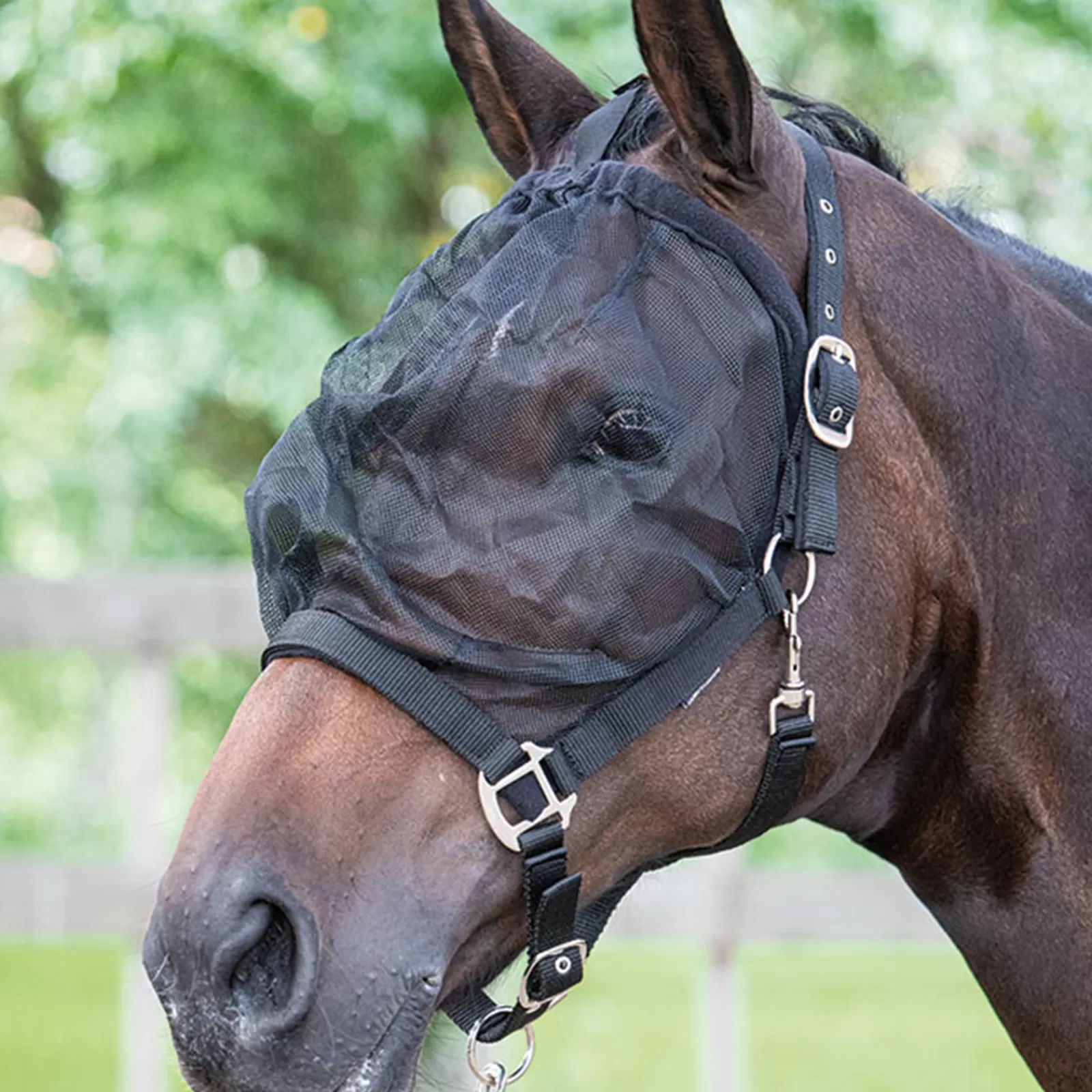 harryshorse Harry'S Horse Fly Mask Headcollar> Headcollars & Halters