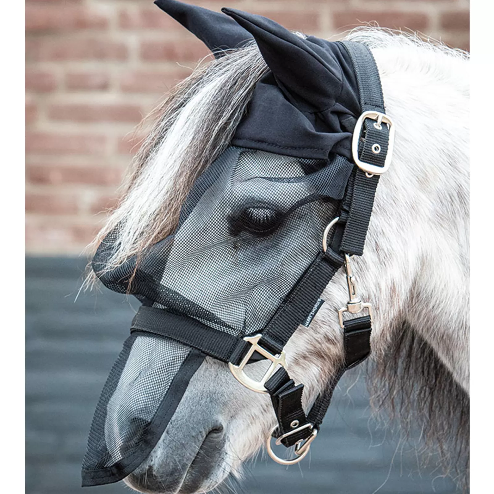 harryshorse Harry'S Horse Fly Mask Headcollar With Ears> Headcollars & Halters