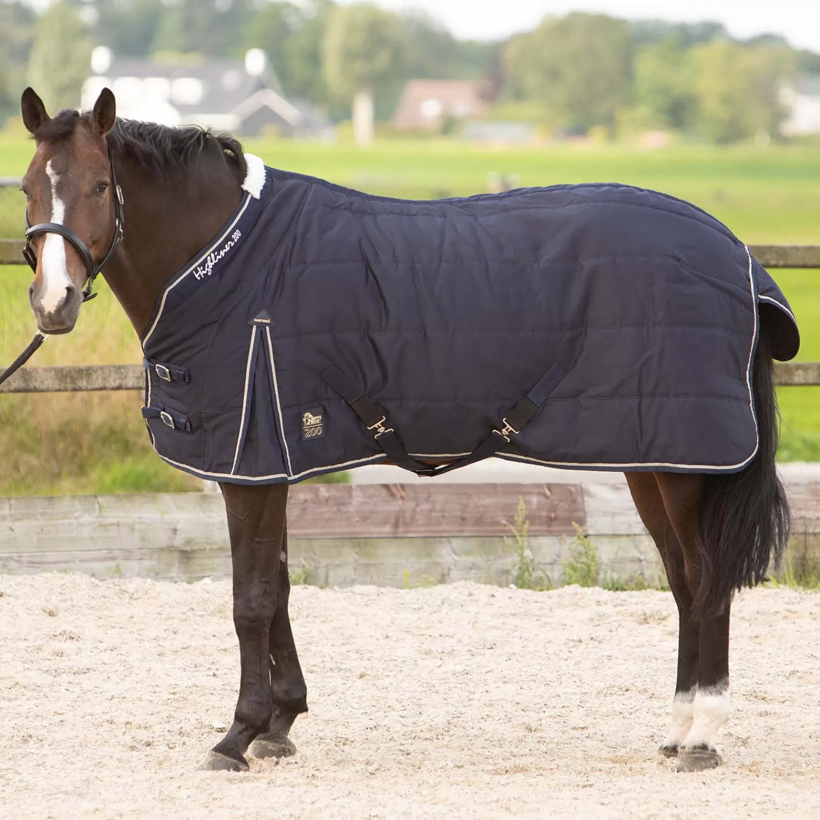 harryshorse Harry'S Horse Highliner Stable Rug, 200G> Stable Rugs & Liners