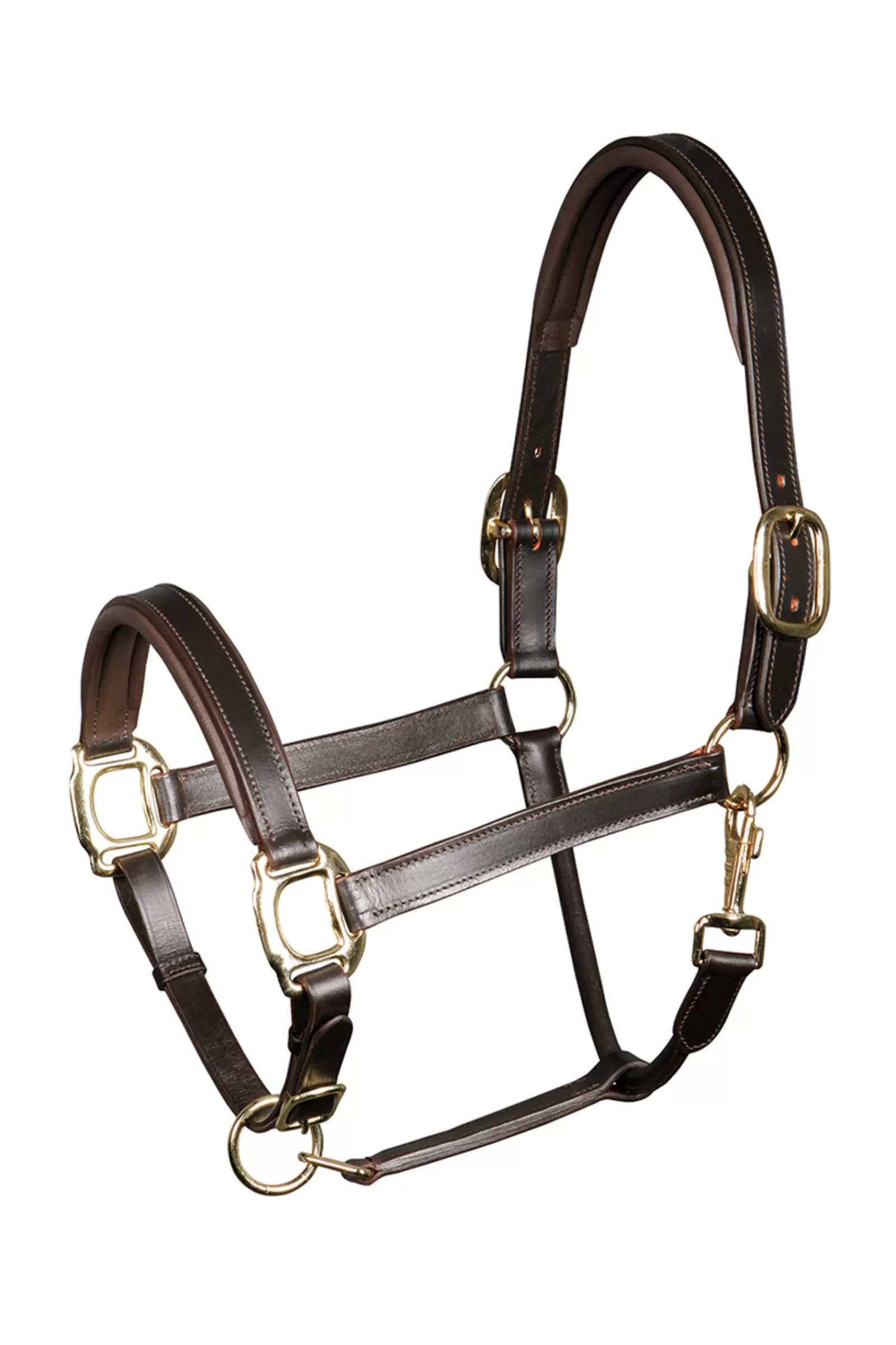 harryshorse Harry'S Horse Padded Leather Headcollar> Headcollars & Halters