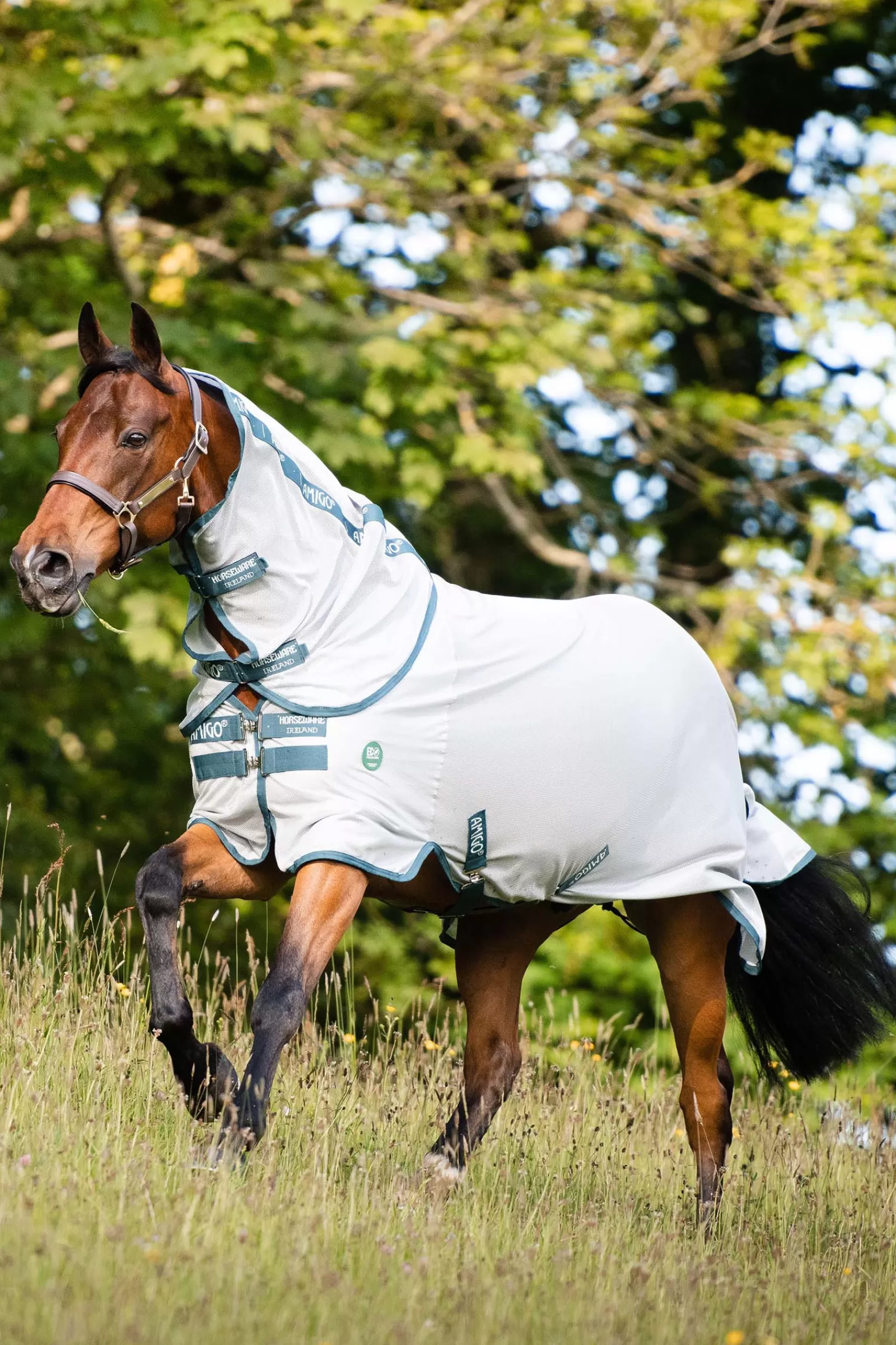 horseware Ameco Bug Rug> Fly Rugs