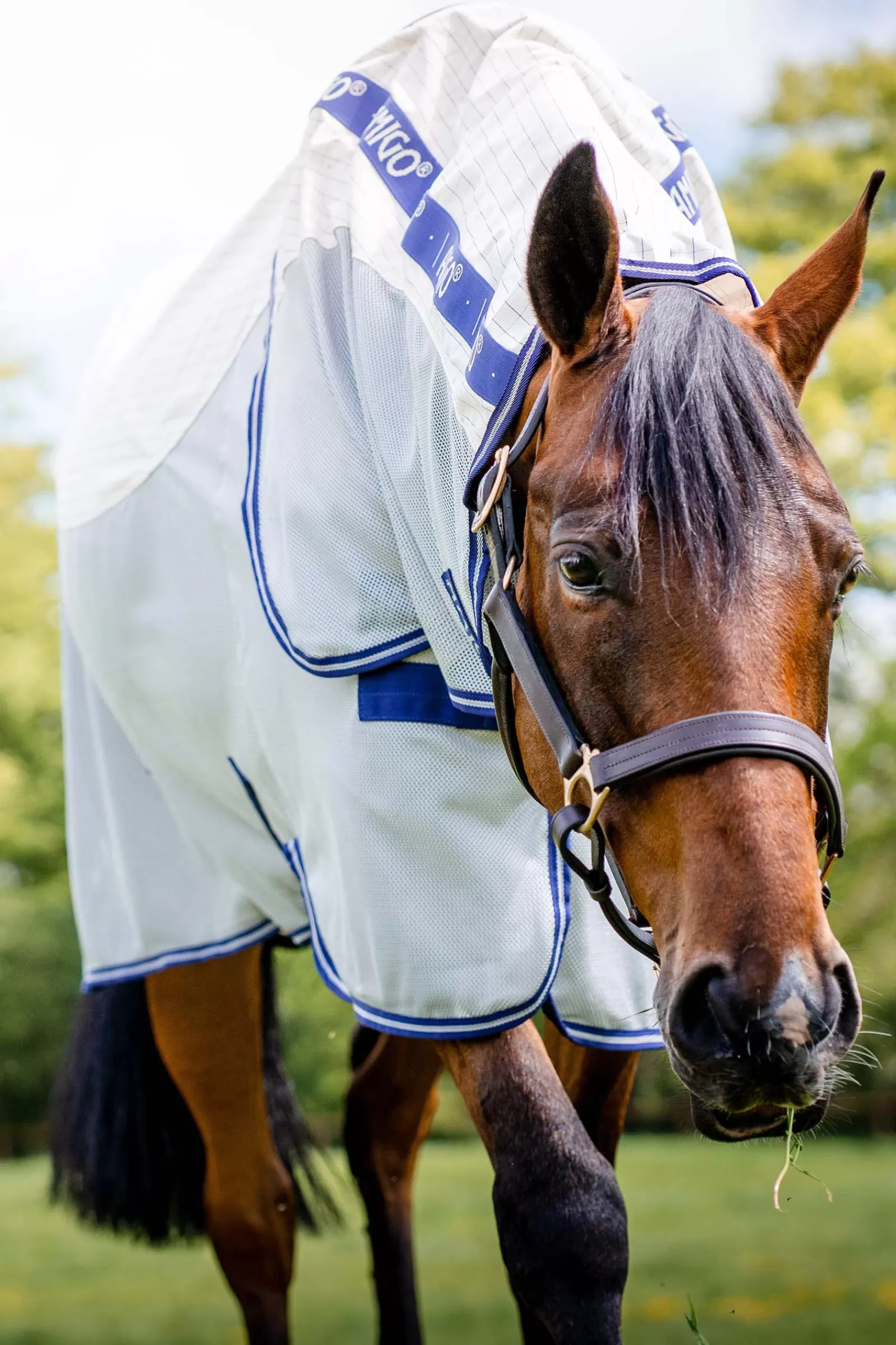 horseware Amigo Airflow Fly Rug With Detachable Neck> Fly Rugs