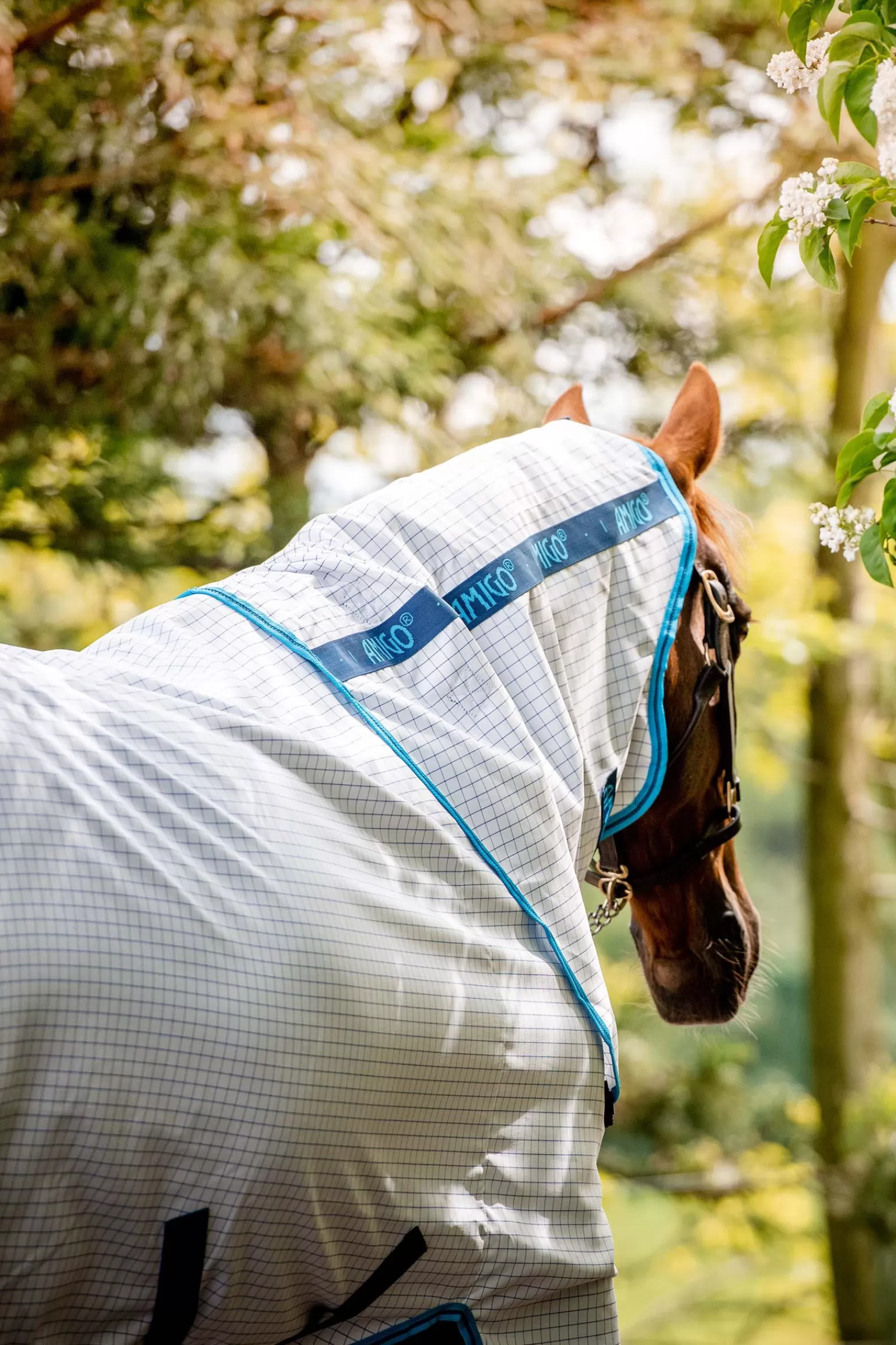 horseware Amigo Aussie Allrounder Disc Fly Rug With Detachable Neck> Fly Rugs
